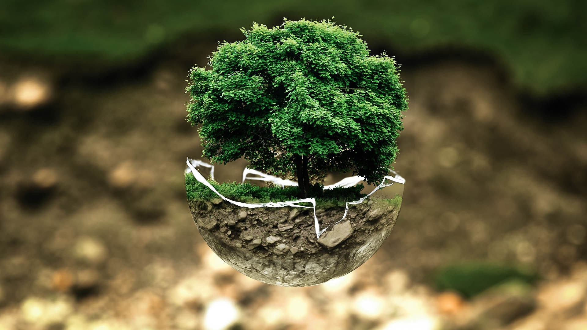 Germany meets Peru: our sustainability project