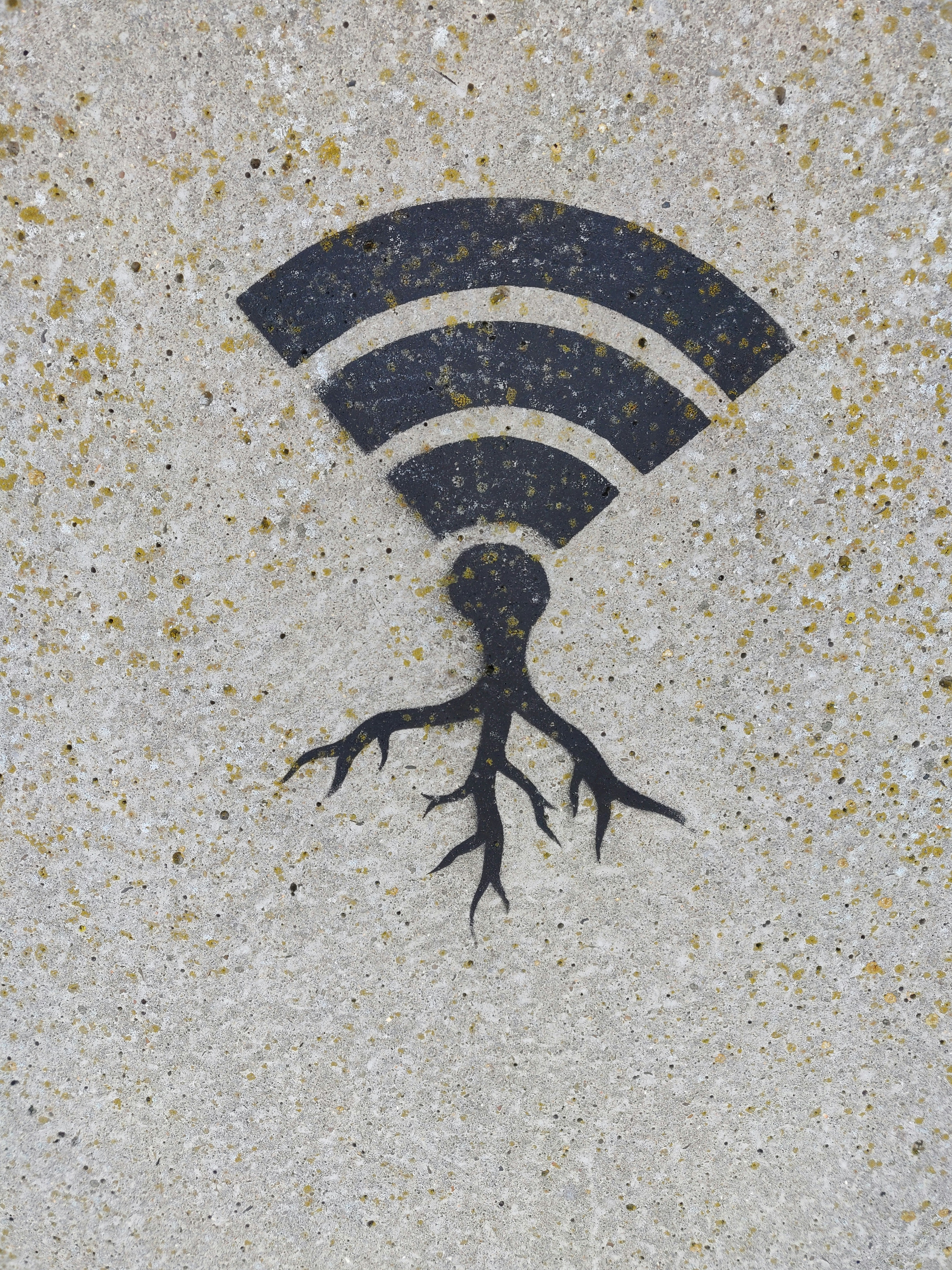 WLAN