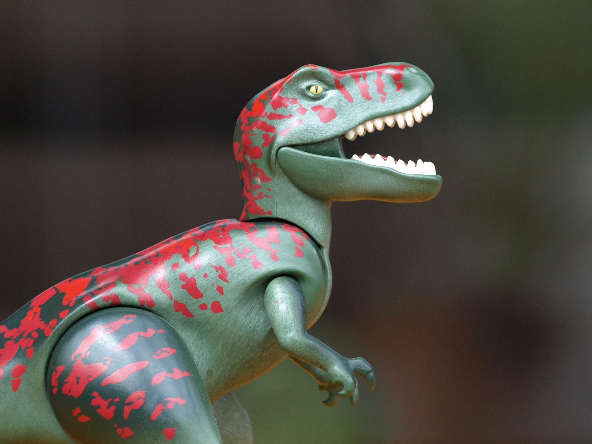 Abenteuerliches Erlebnis: Baumhäuser und Dino-Entdeckungen