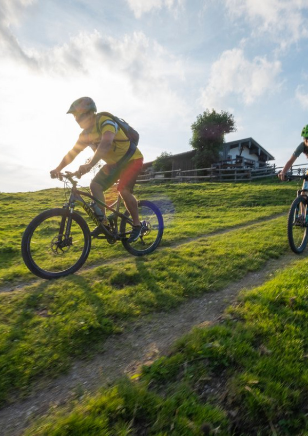 Mountain bike tours