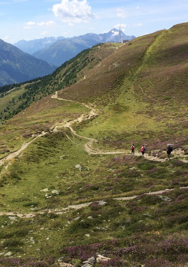 Mit Benni auf die Glanderspitze - geführte Wanderung