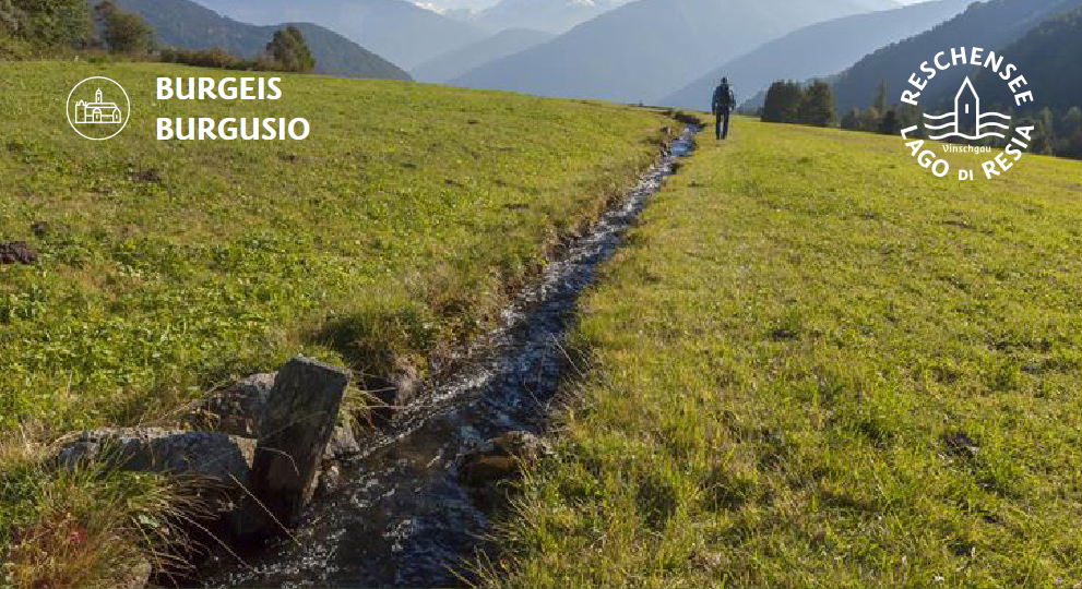 MUTA DI MALLES: L’IRRIGAZIONE TRADIZIONALE DEI PRATI E GLI UCCELLI NIDIFICANTI A TERRA