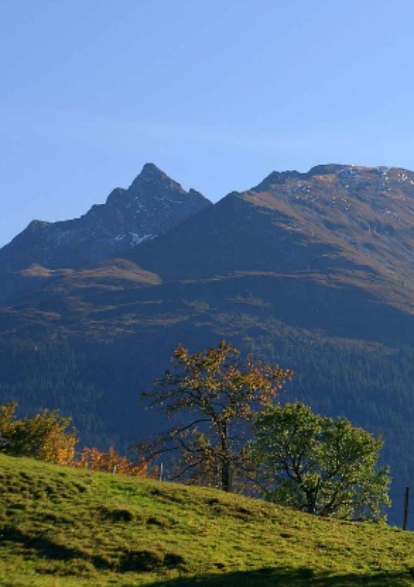 Hike via the Hörgeralm to the Plattinger ( 2.017m)