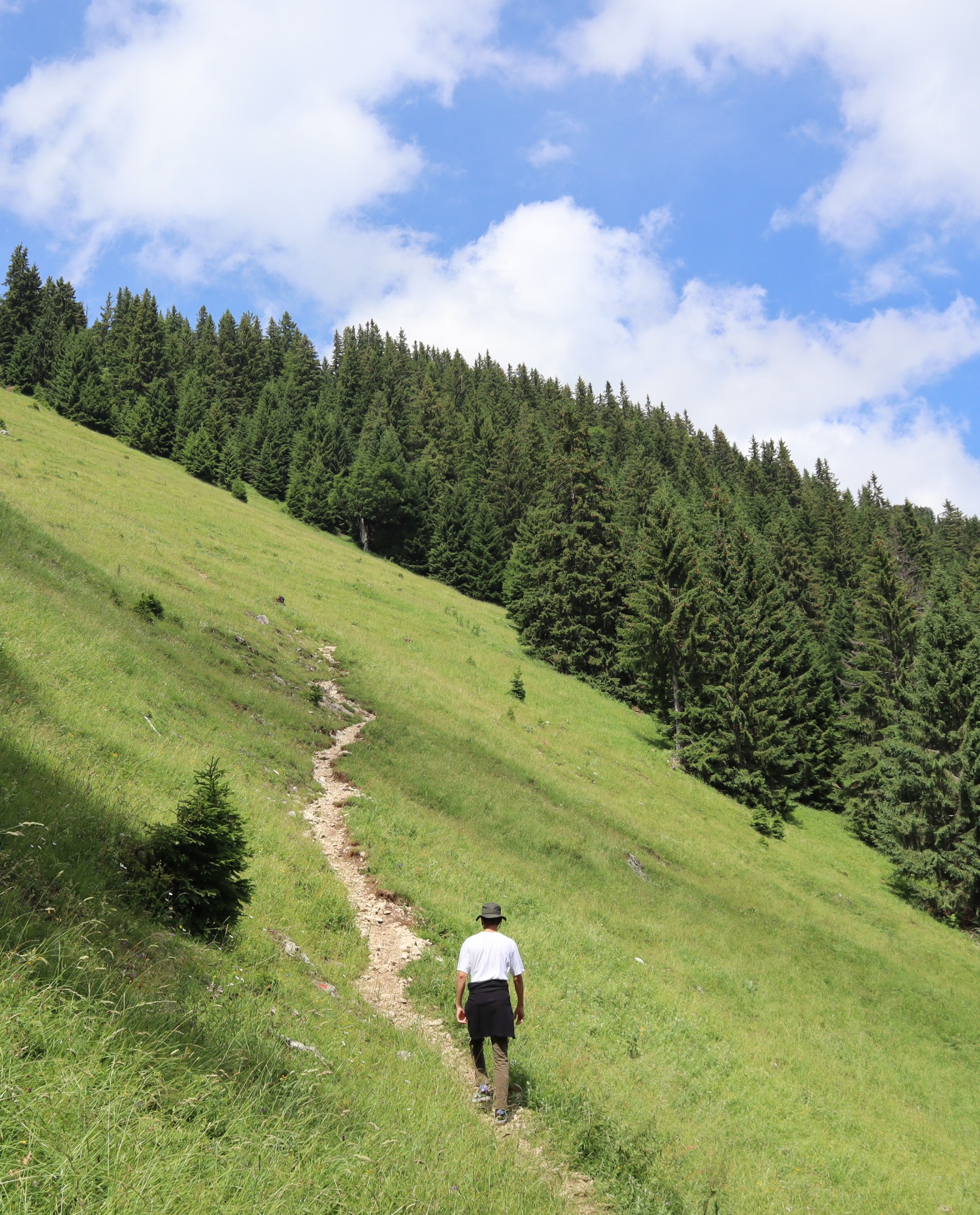 Sunday tip:
From the Zinken summit tour to the bike tour to Haldense