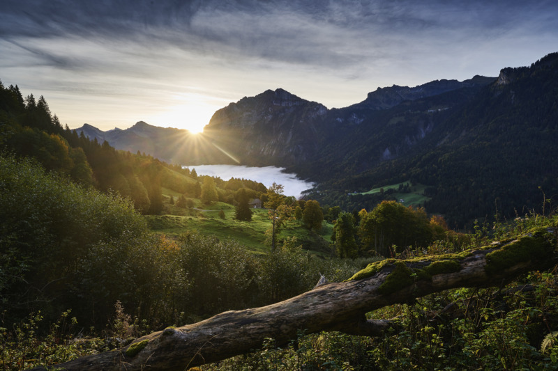 Treffpunkt > ICH
Erlebnistage mit Natur, Genuss & Geist