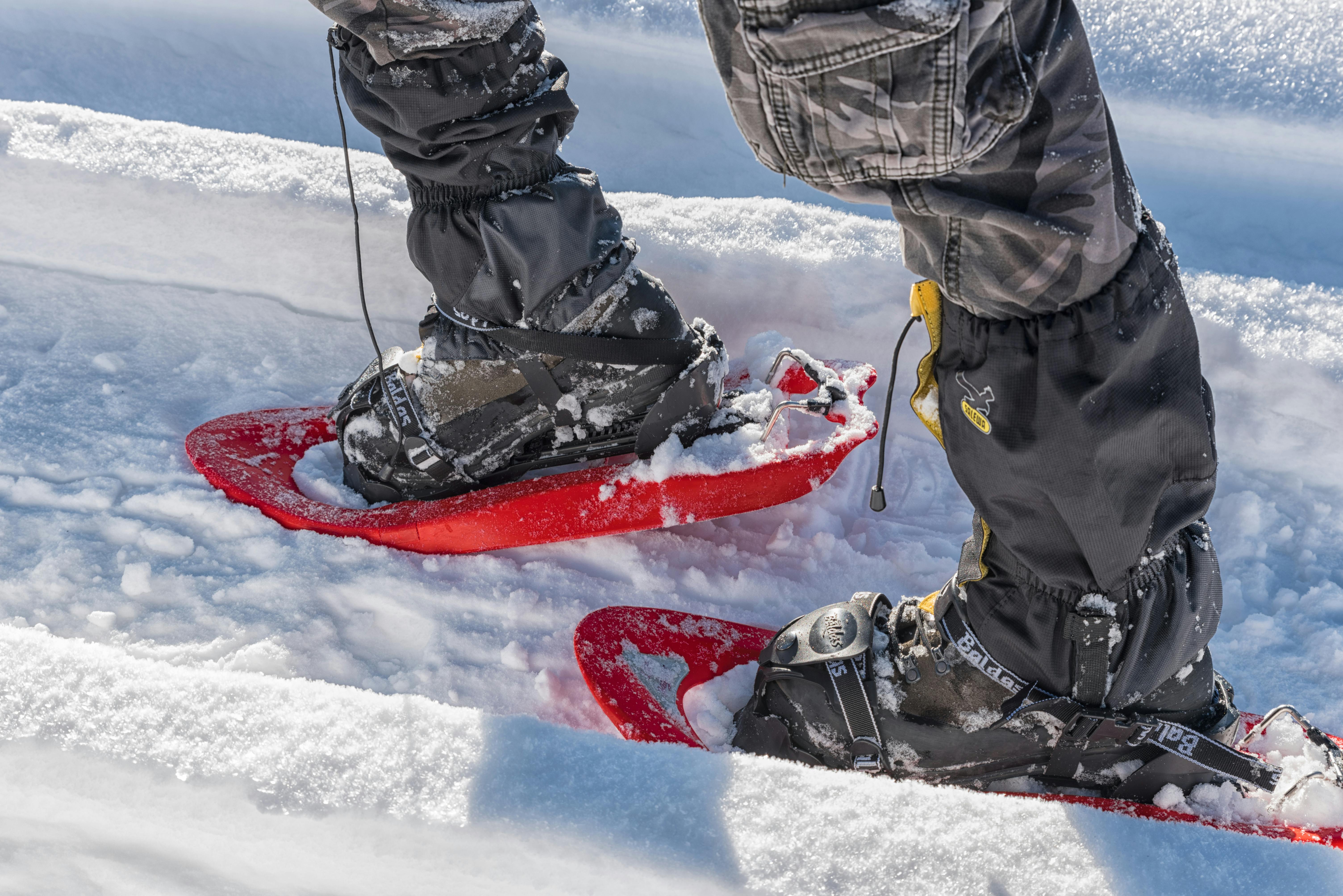 Snowshoe taster tour