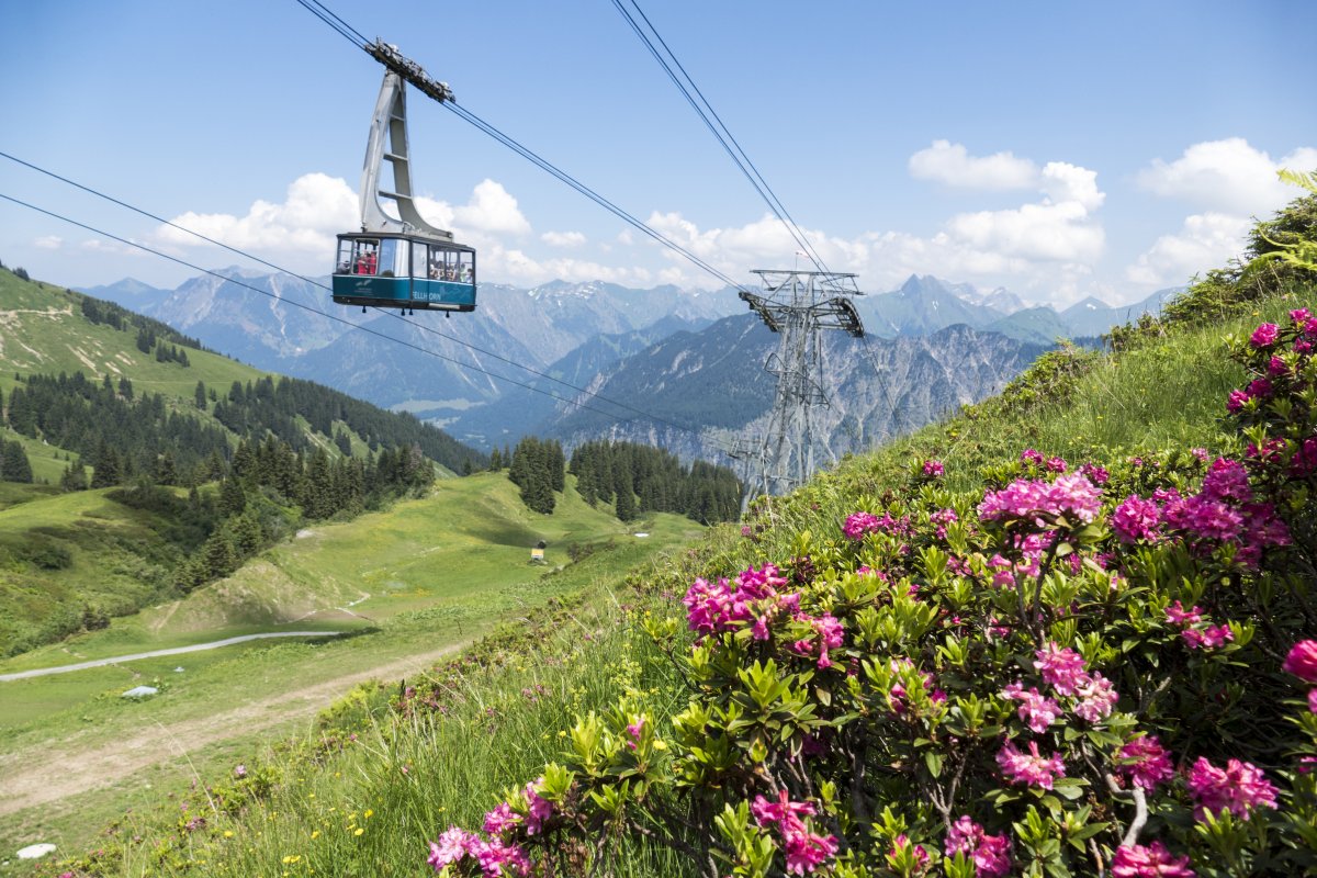 Geführte Wanderung  am 2-Länder-Blumenpfad am Fellhorn