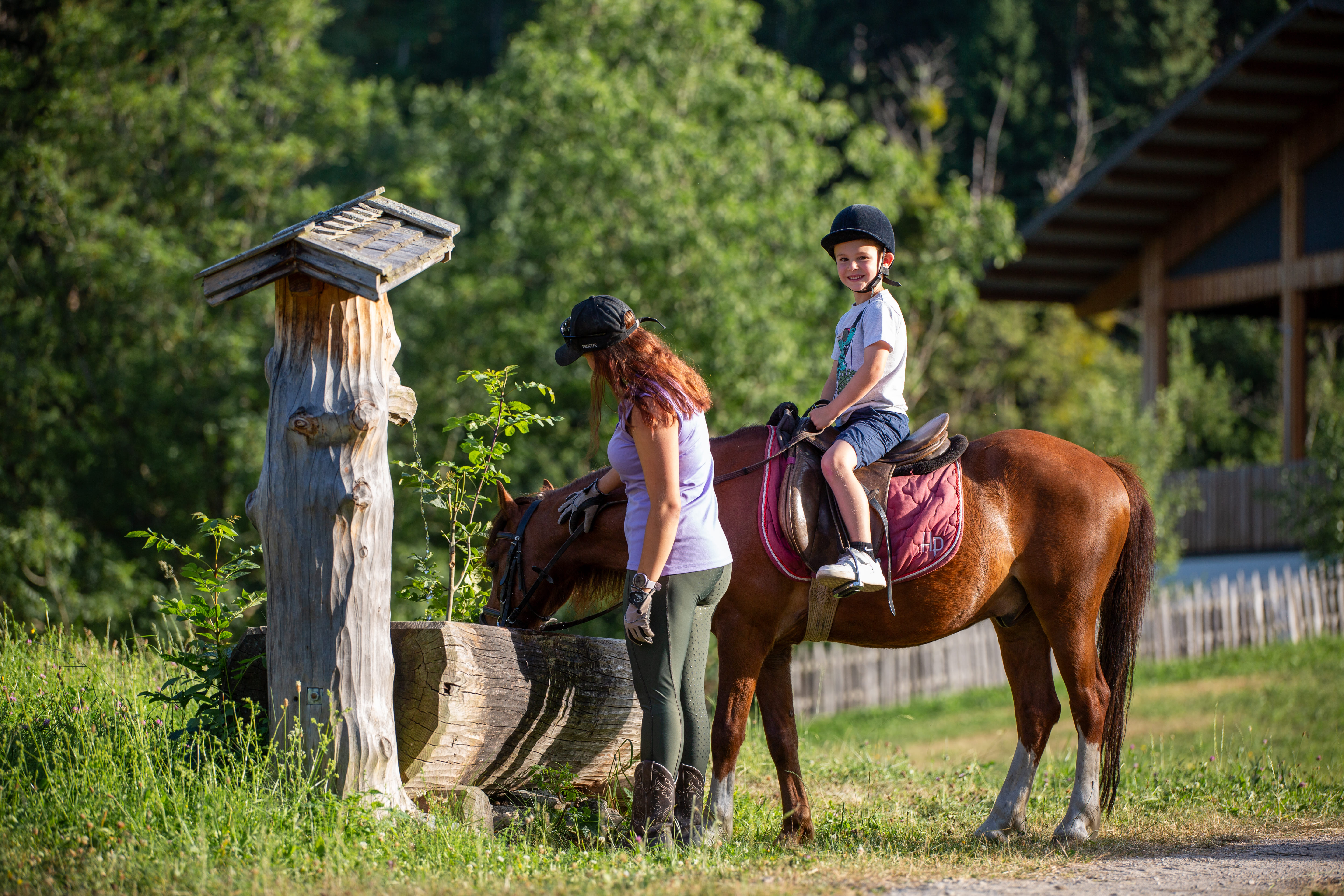 Pony rides in the mountains