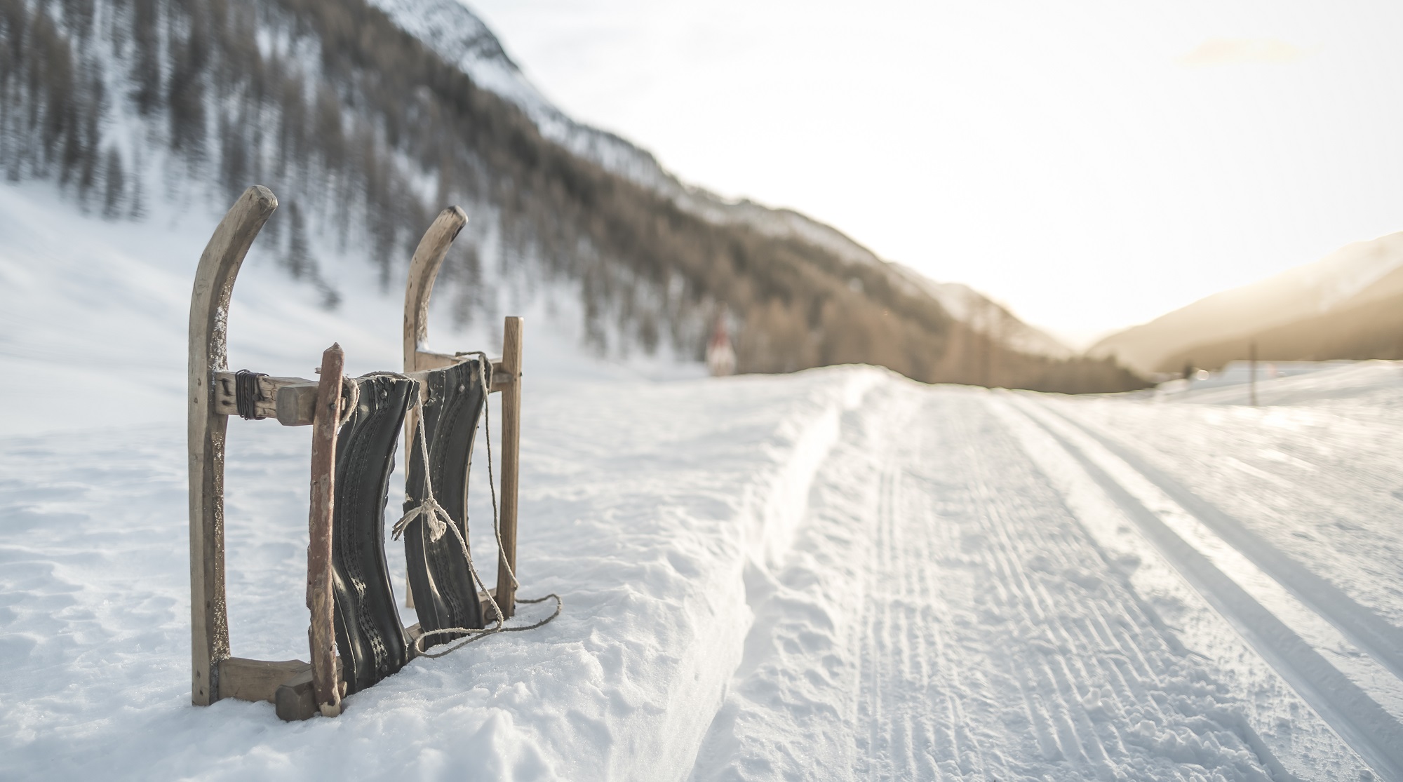 * Winter excursion to the hut Moarhof followed by toboggan run with Sonja