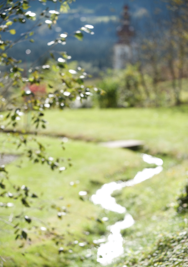 Waldmeditation im Gehen