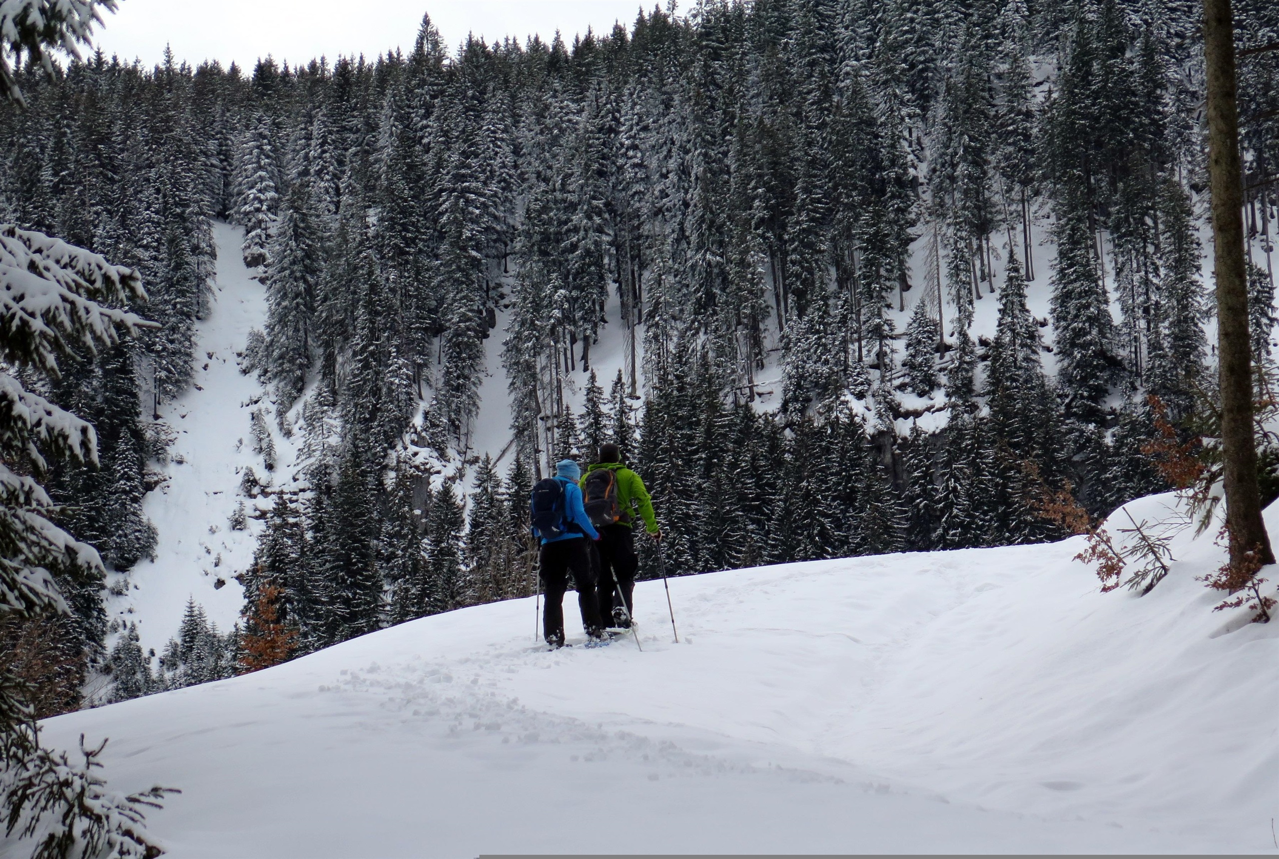 JO Xund & Fit - "Snowshoe Hike