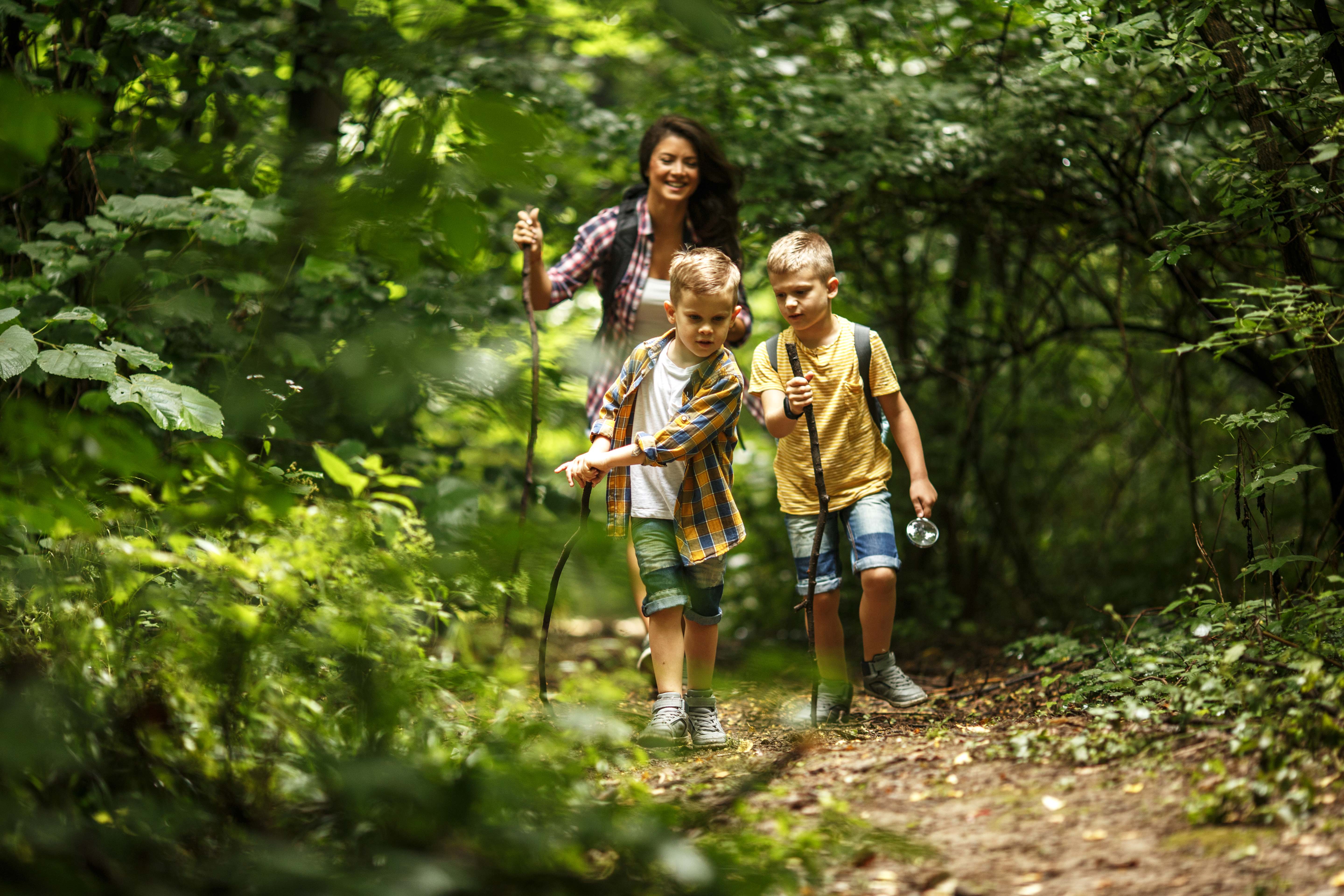 Nature exploration hike followed by an information session on the national park