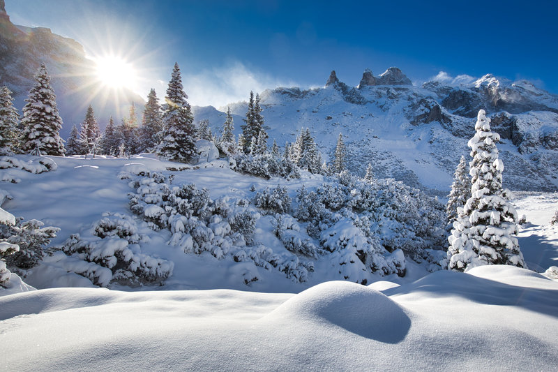 Silbertaler Waldschule im Winter erleben