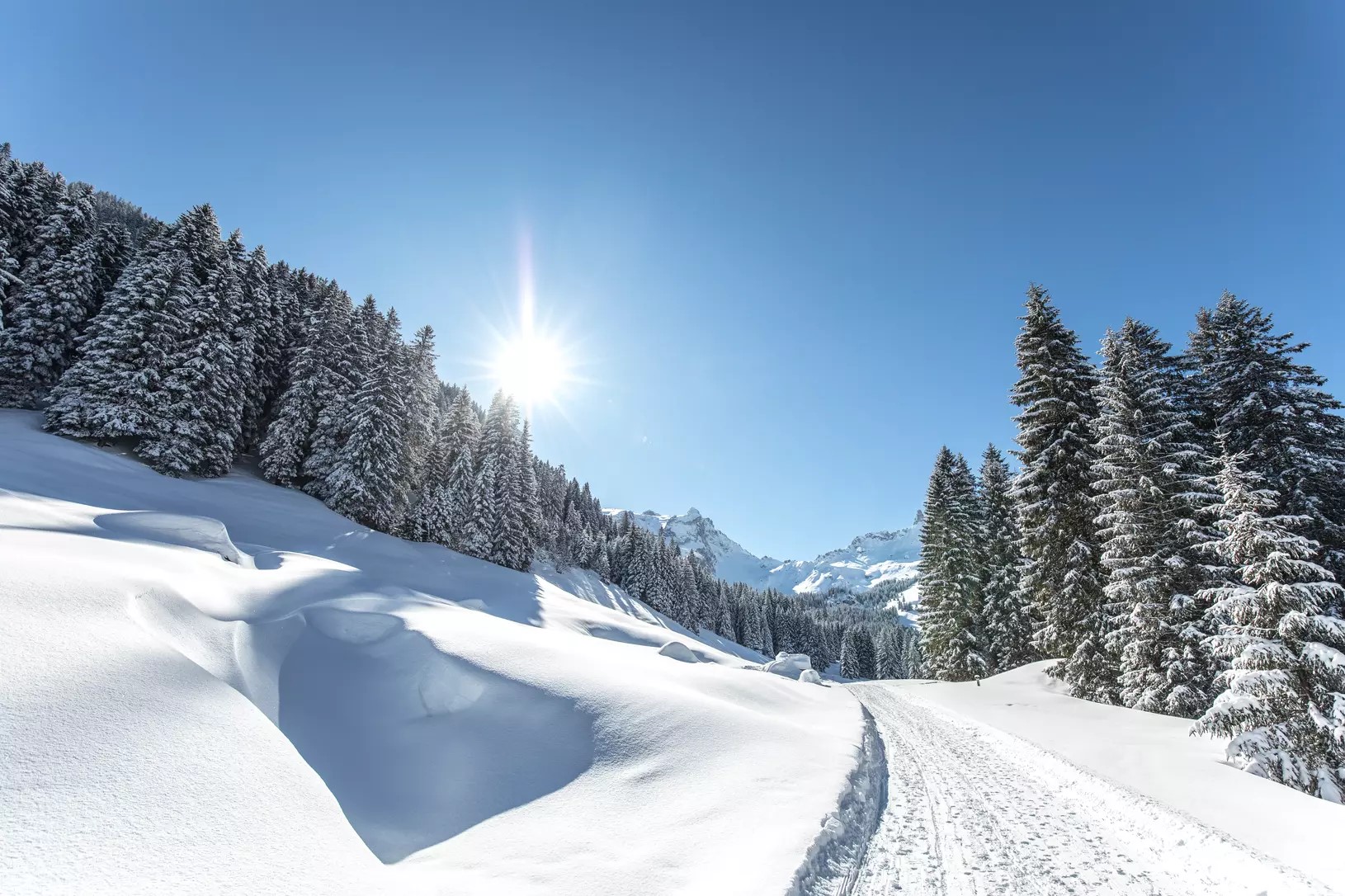 Winter hike Gauertal