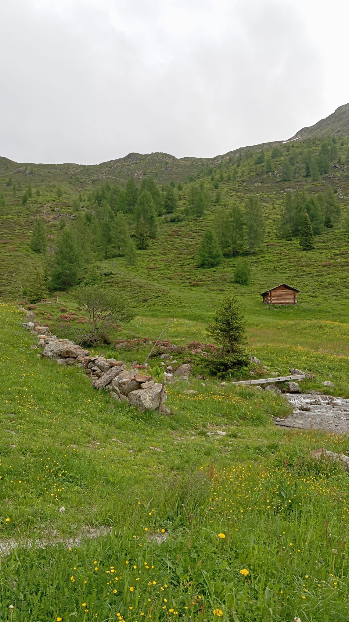 Slide 2
