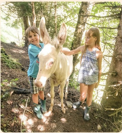 Pinzgau Eselwanderung