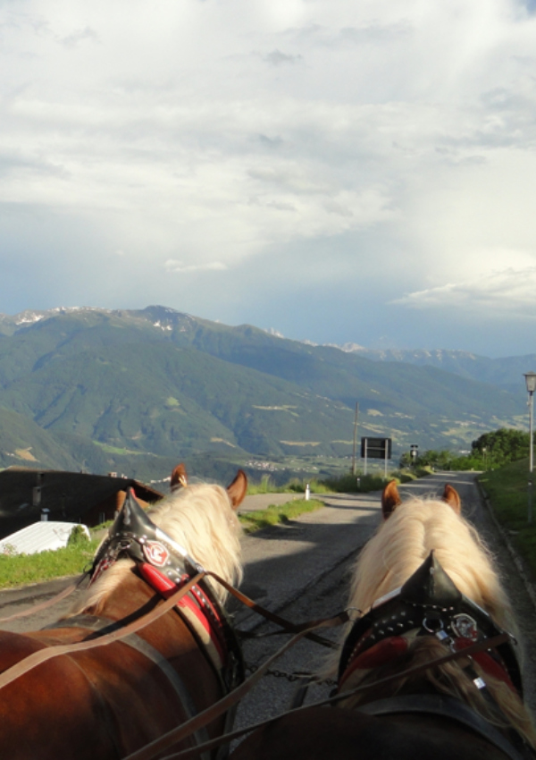 Horse-drawn carriage ride with uncle Walter and Paul