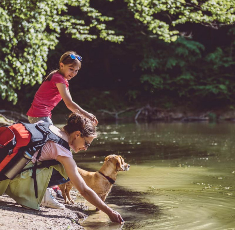 Excursions with 4-legged friends