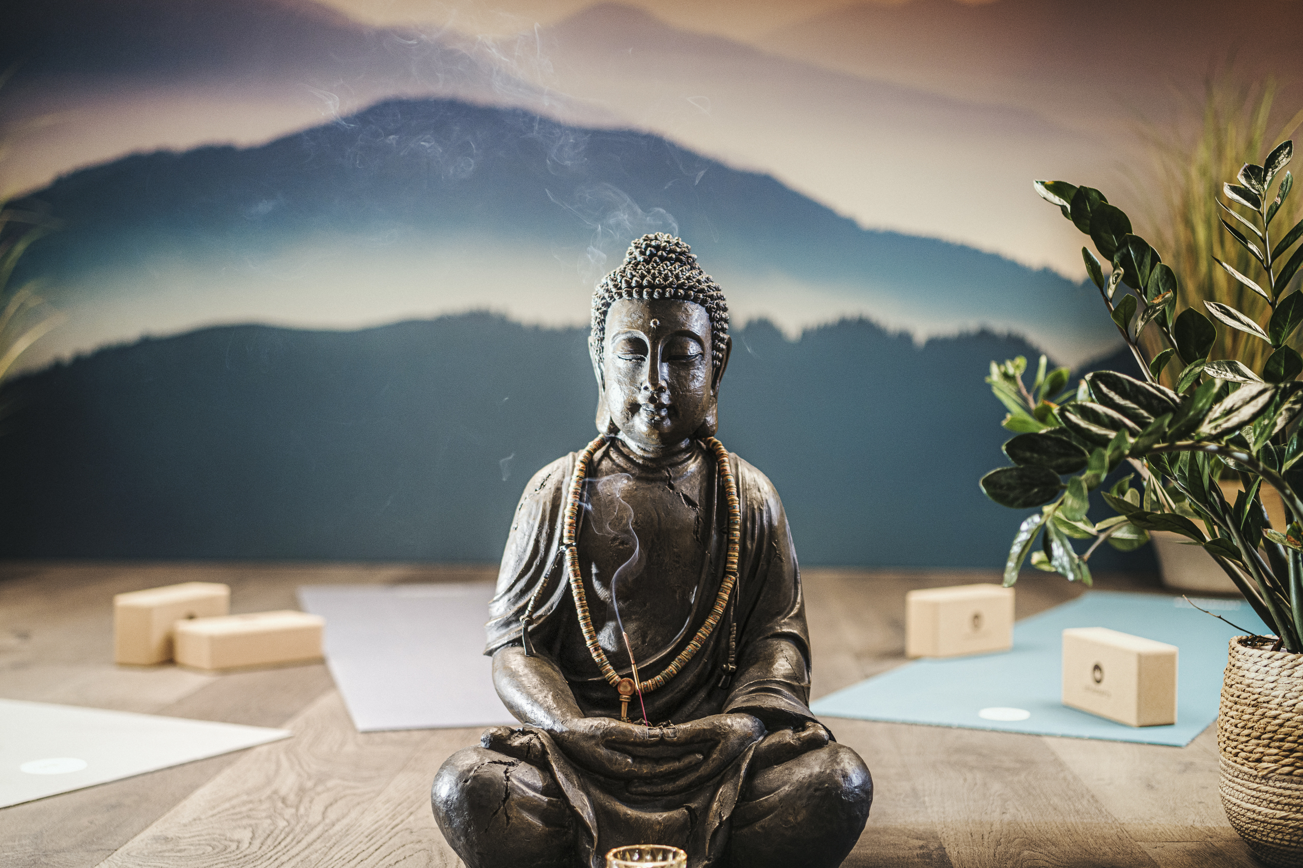 Qi Gong & Breathwork with Stefan
