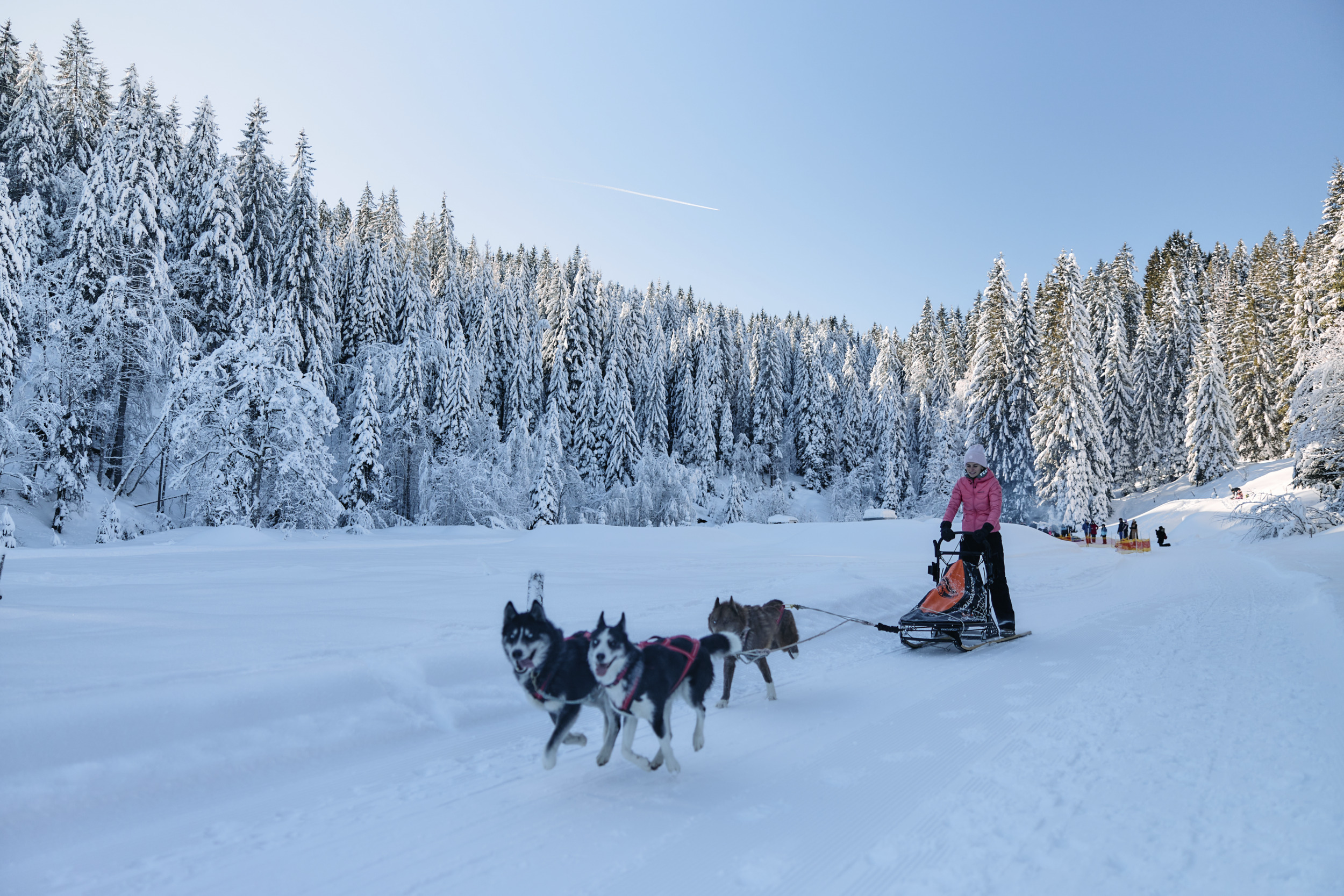 Husky Camp