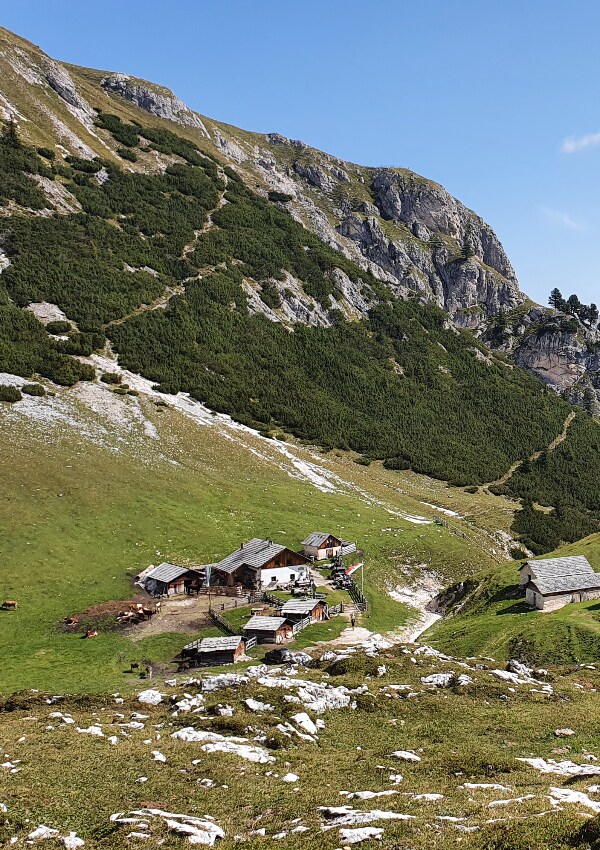 Fojedöra high alp