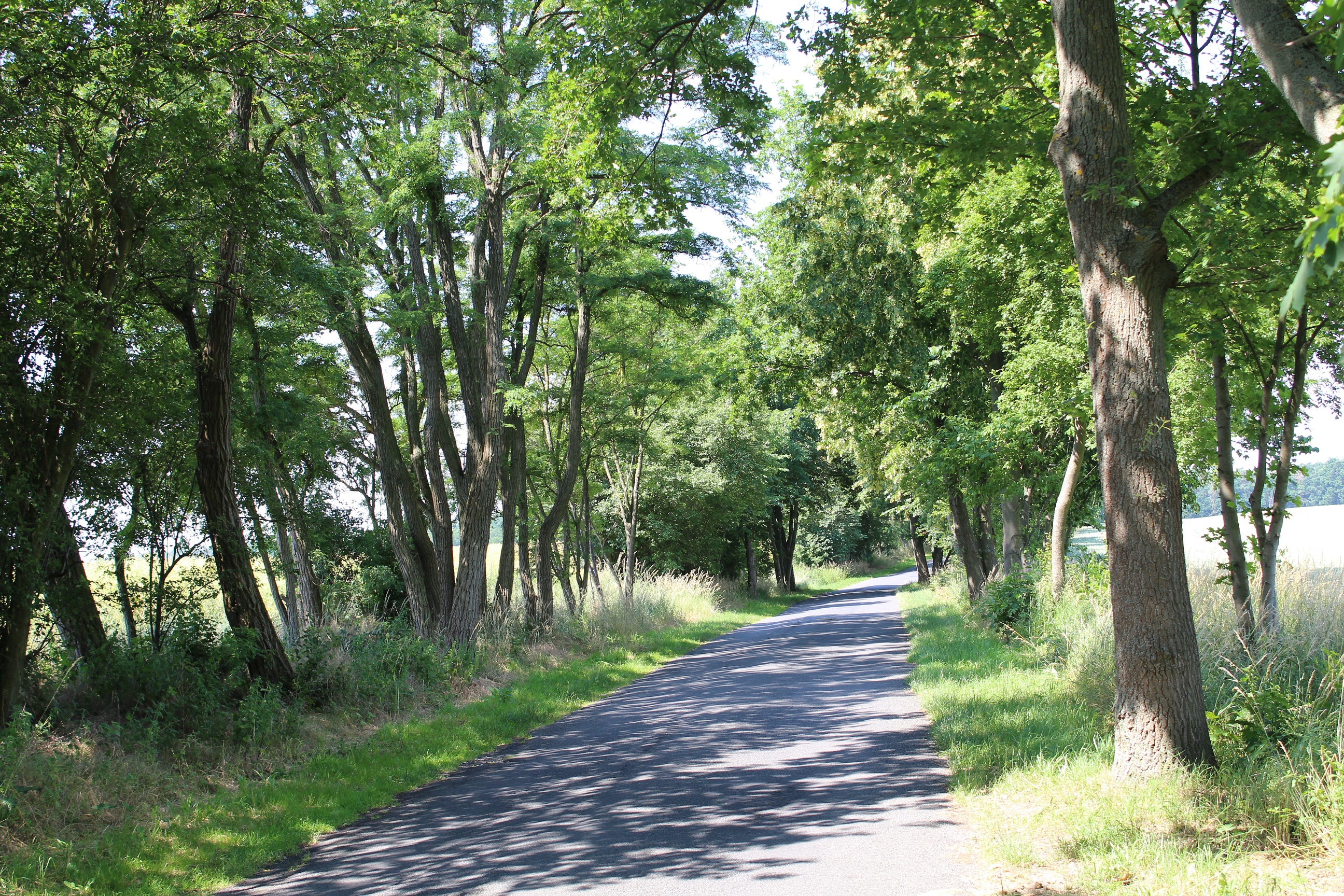 66 Seen-Wanderweg