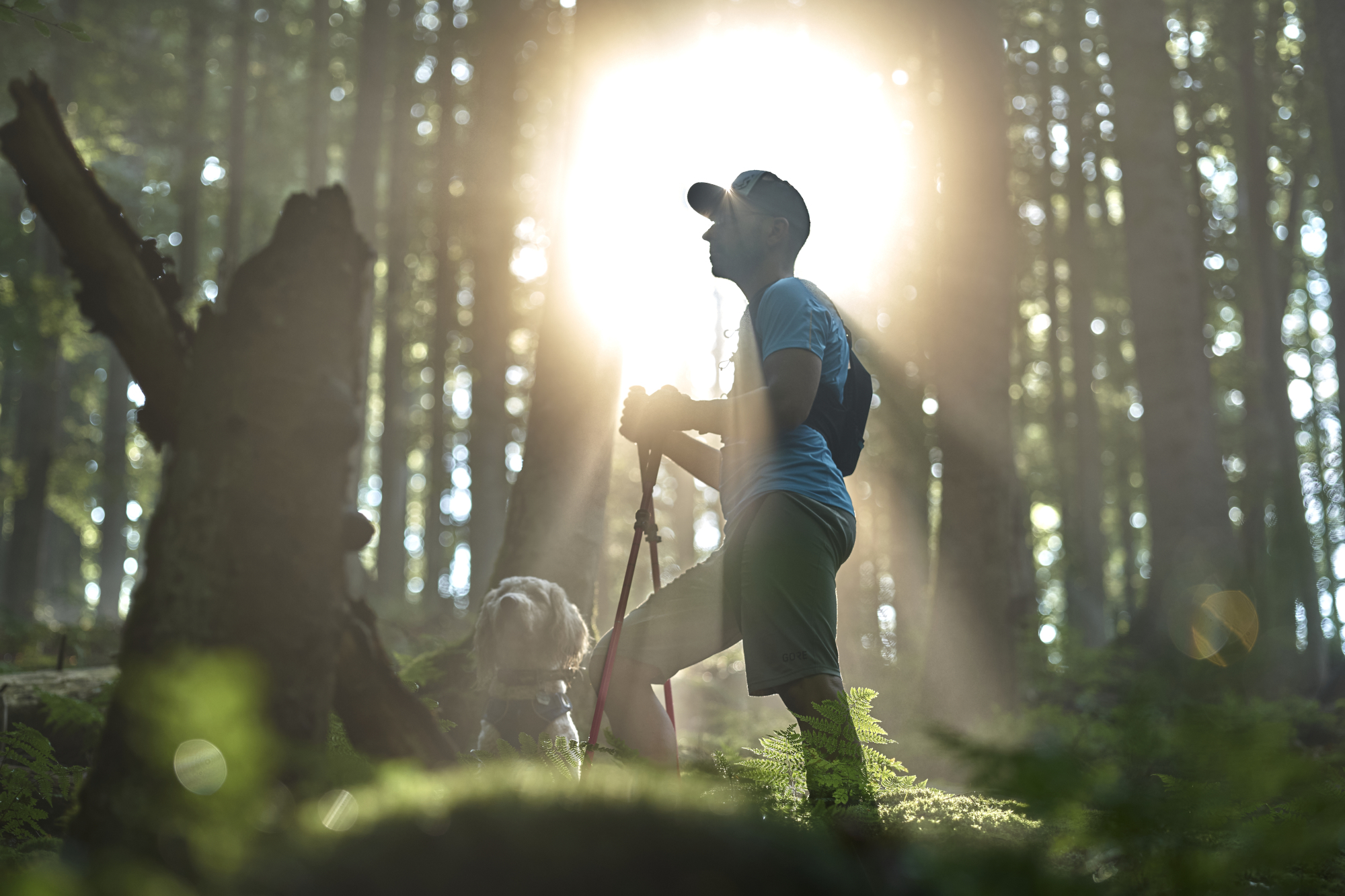 Nordic Walking