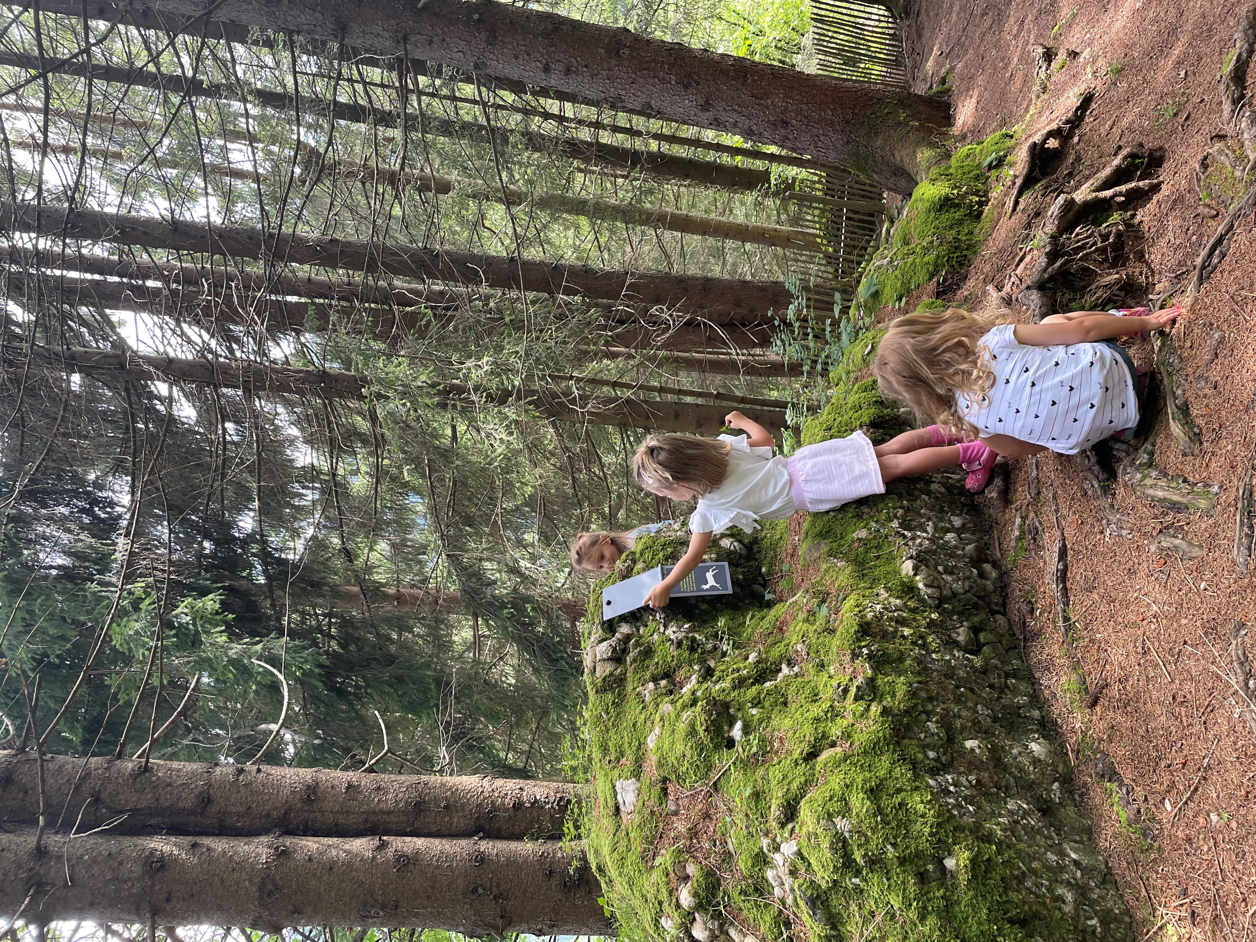 sich zit long - Familienwanderweg