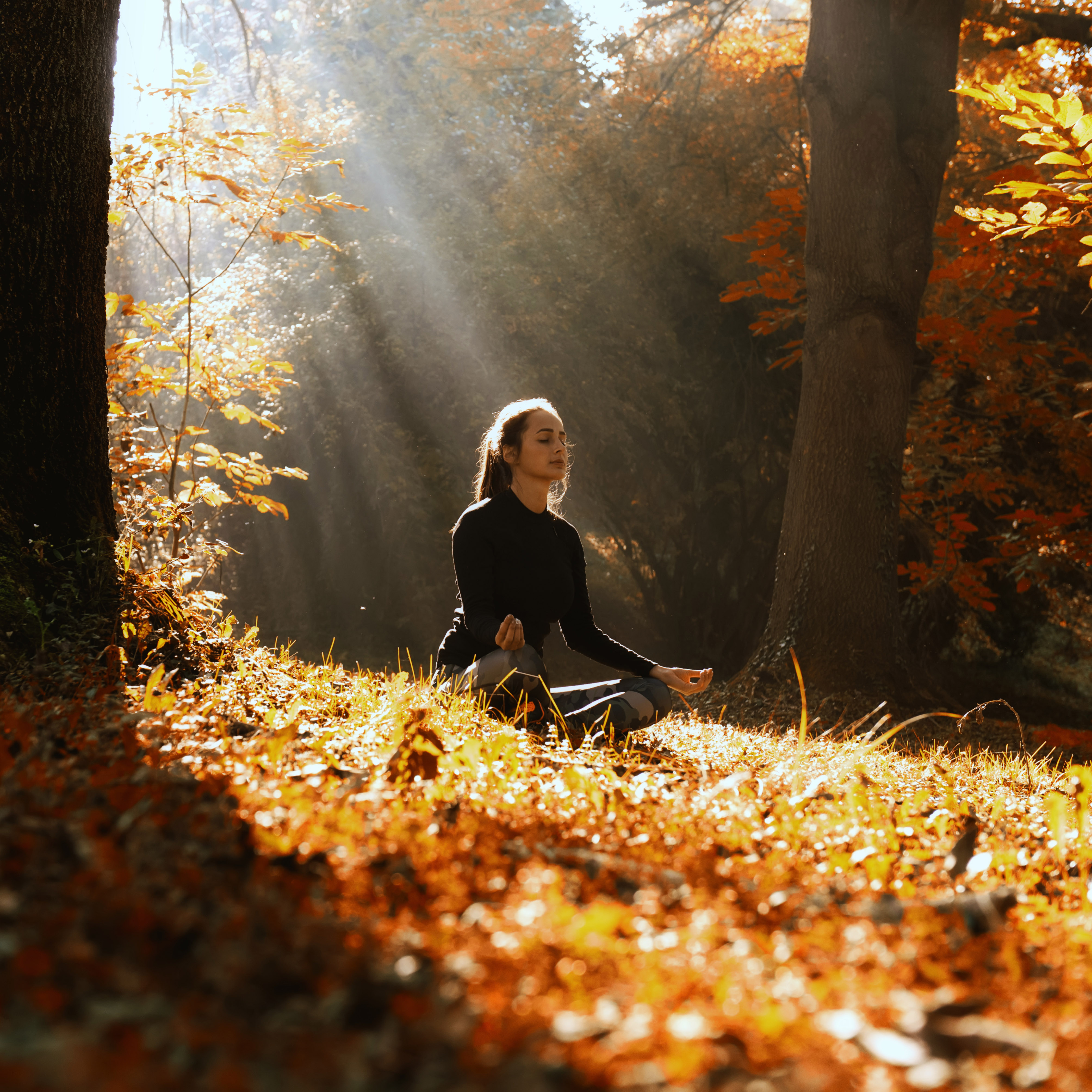 Pranayama yogic breathing exercises for house guests