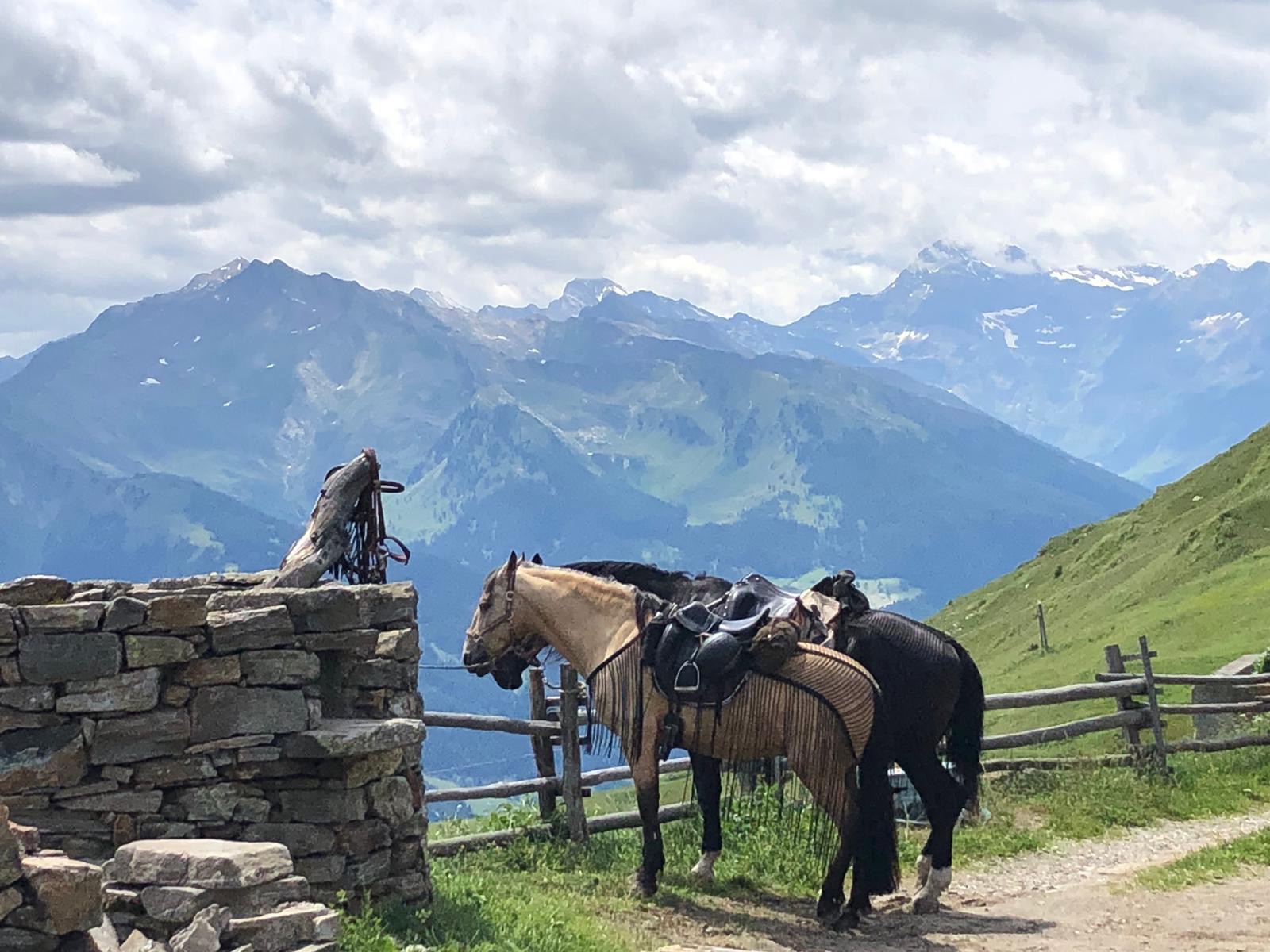 Alpenüberquerung