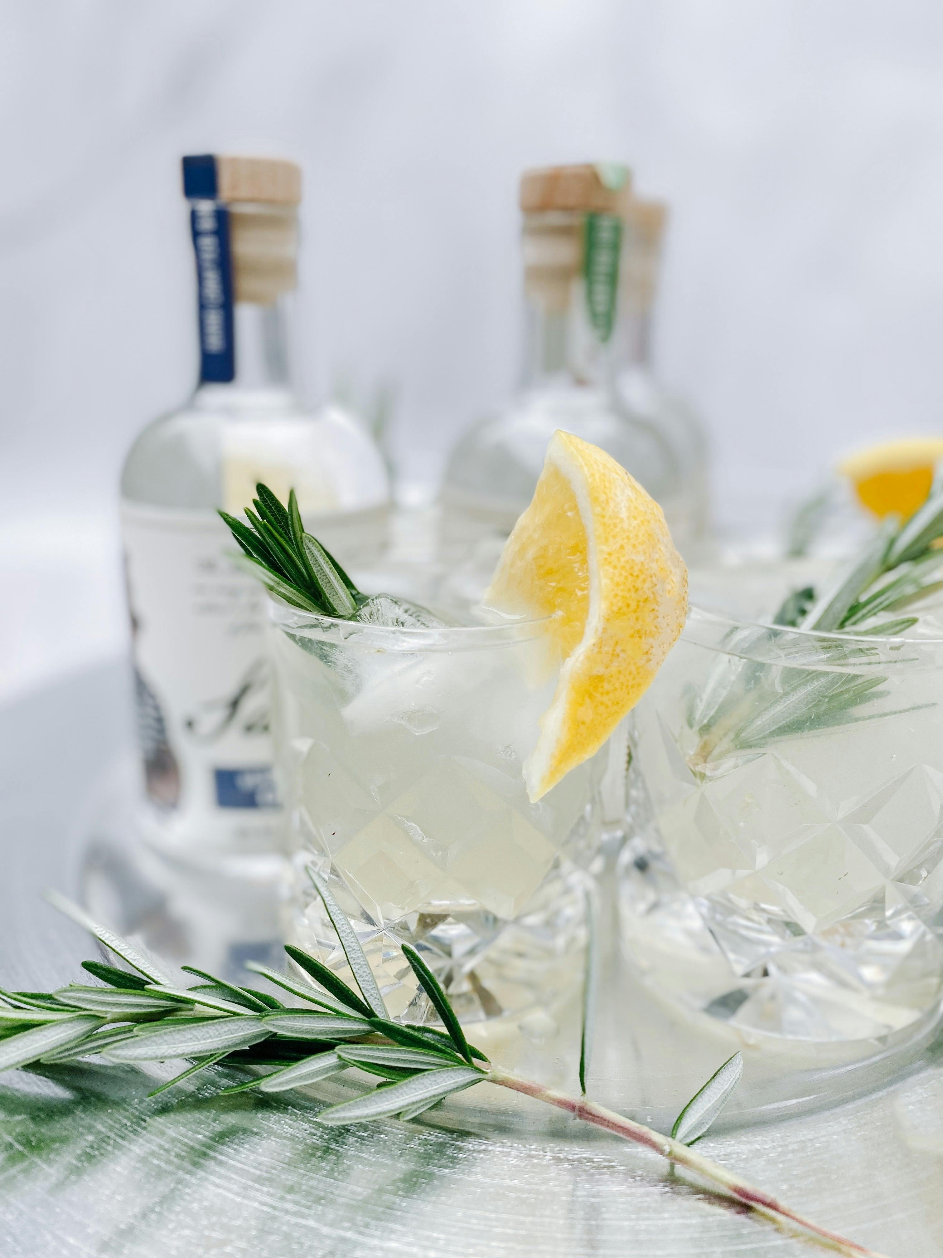 Gin-Tasting