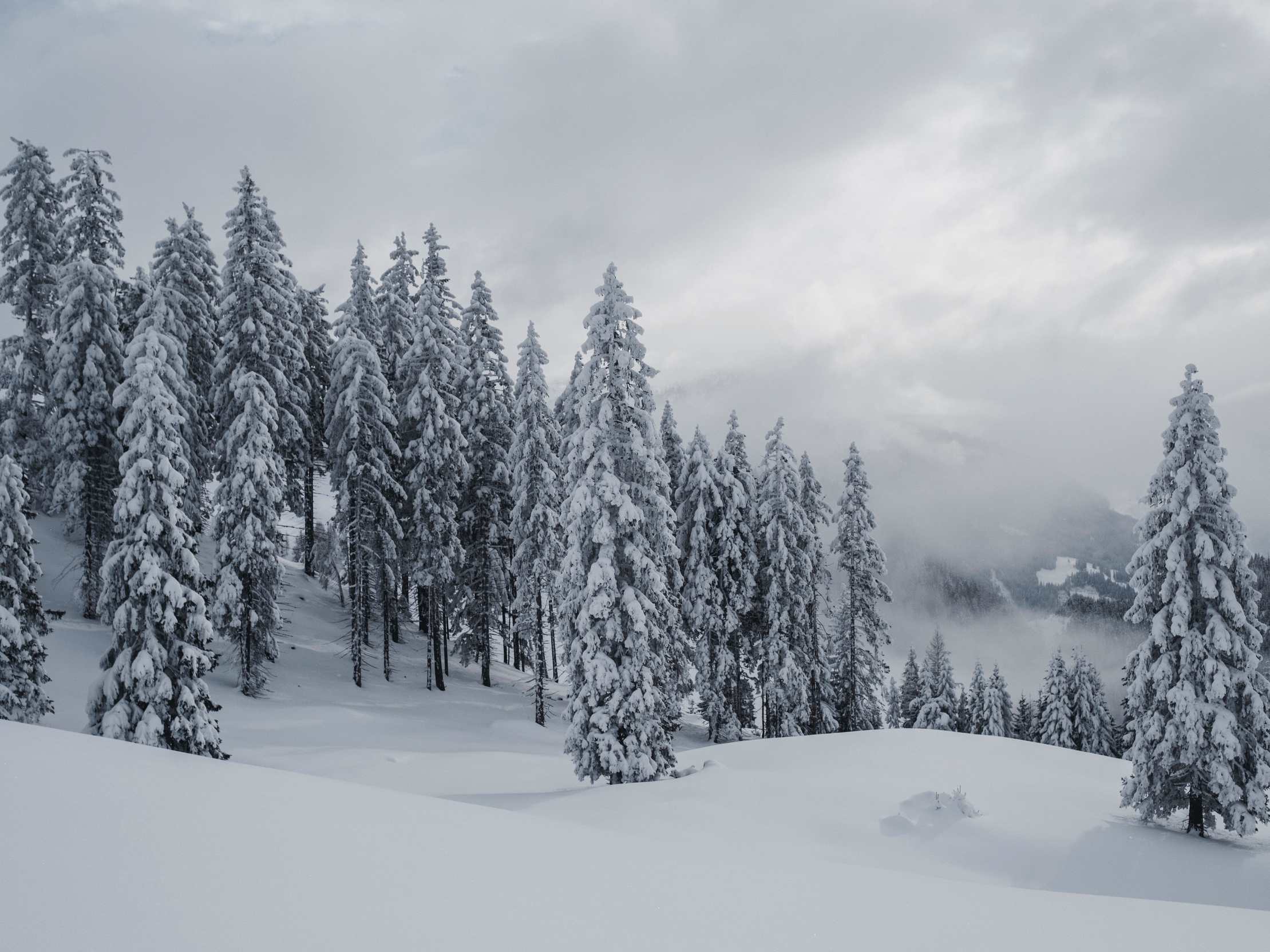 JO Xund & Fit - Winterspaziergang