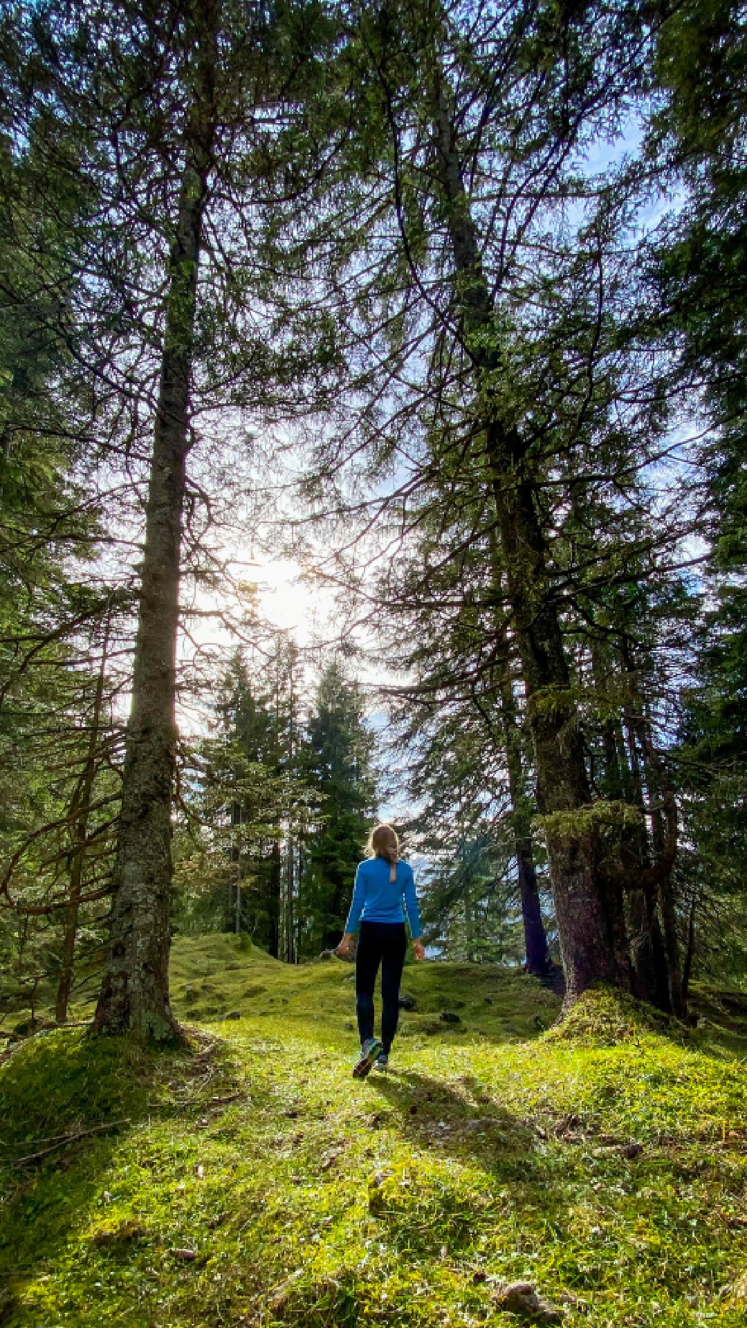 Forest bathing in the Tannheimer Tal. 