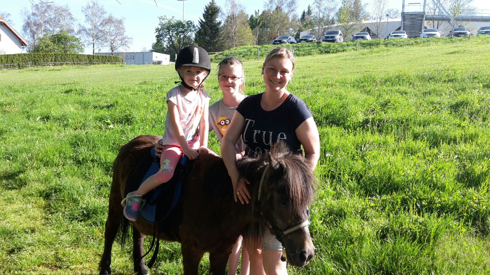 Pony walk