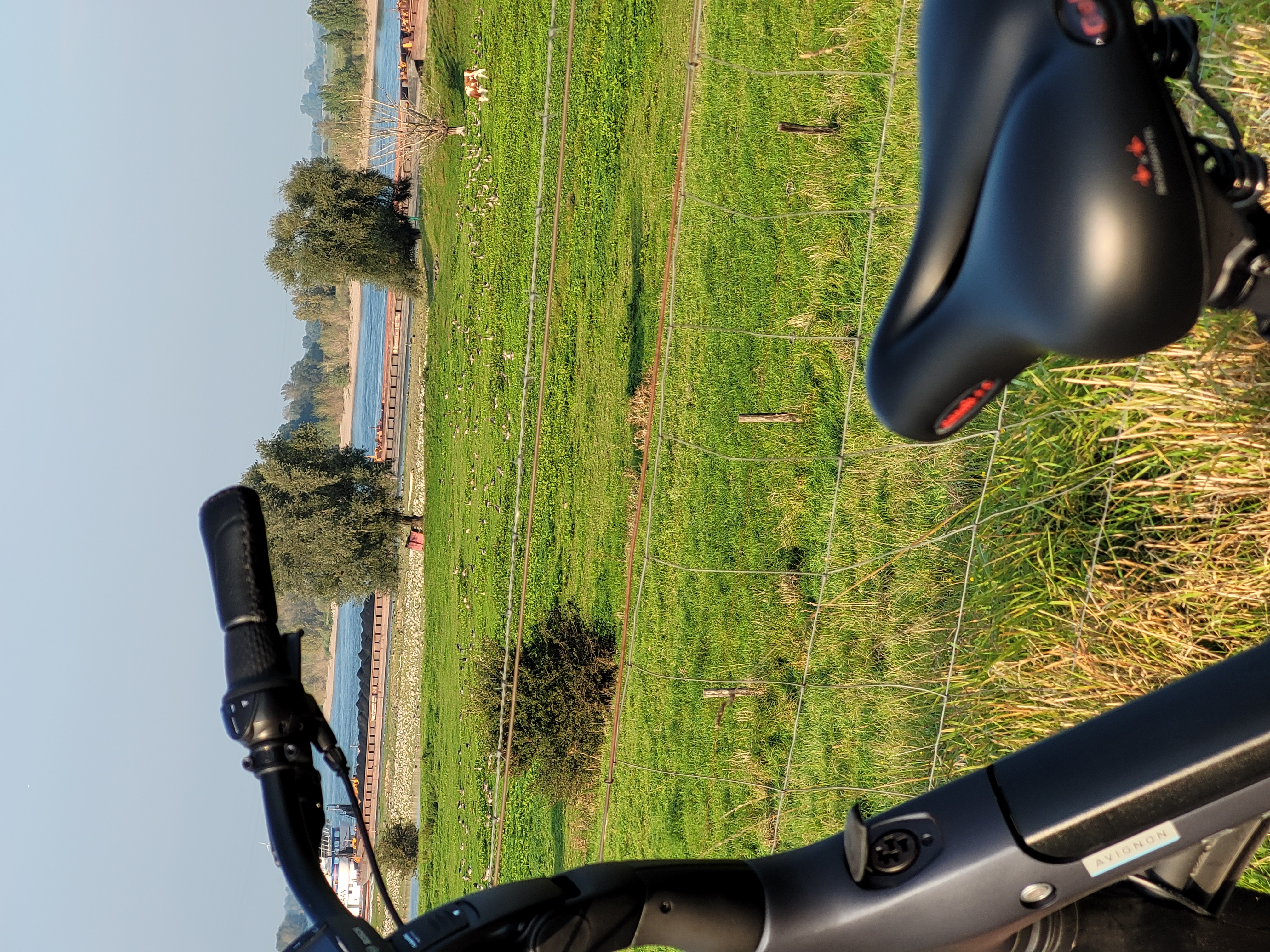 Bike tour along the Rhine
