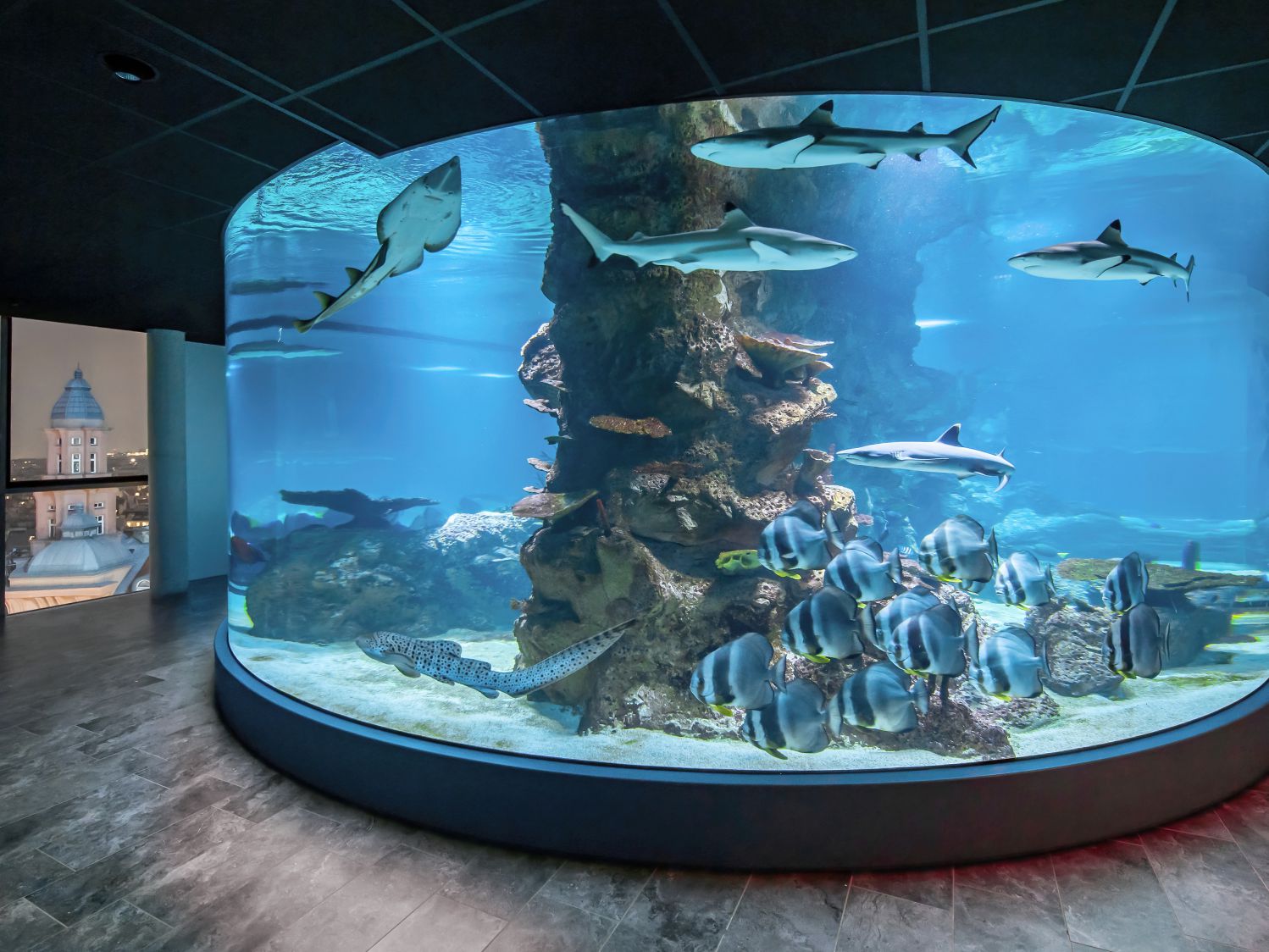 House of the sea