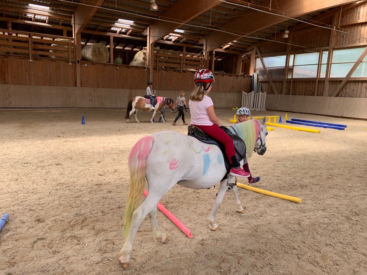 Équitation pédagogique WENDY (4-7 ans)