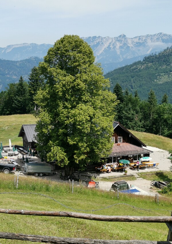 Überraschungstour quer über die Wege durch die einzelnen Ortschaften von Bad Goisern