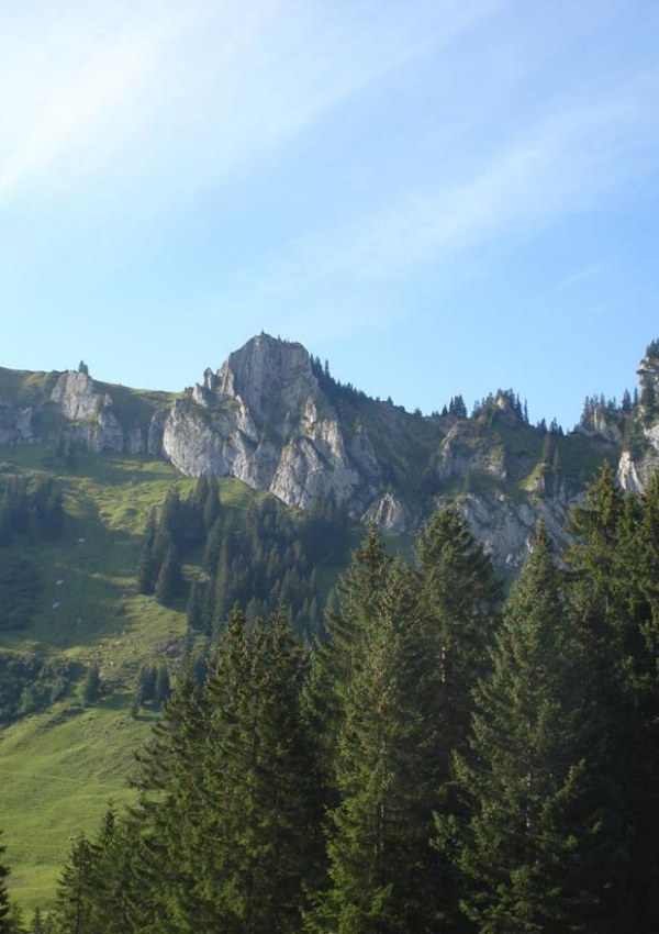 Gemeinde Wanderung, Begleitete Besler-Rundwanderung 51e6cd22-2261-4395-8c79-2bc09e5c8108.jpeg
