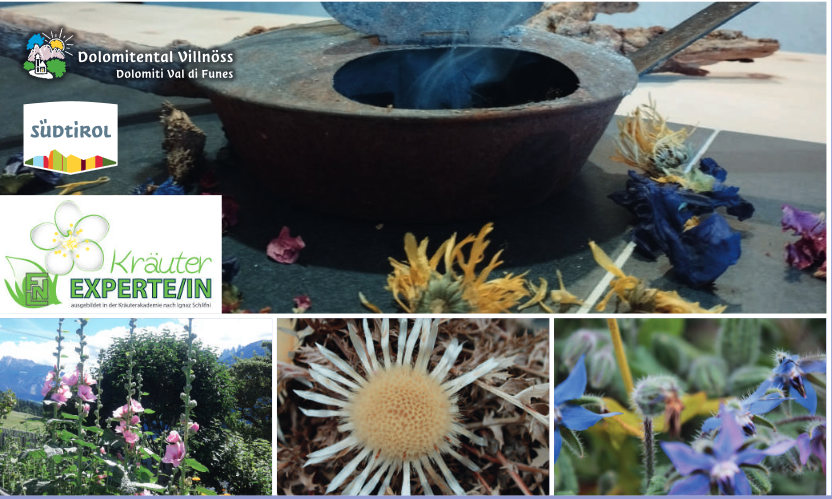 Slow Food Travel - Magia delle erbe