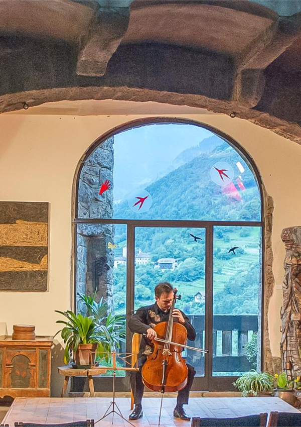 Fountain Castle Castel Cello