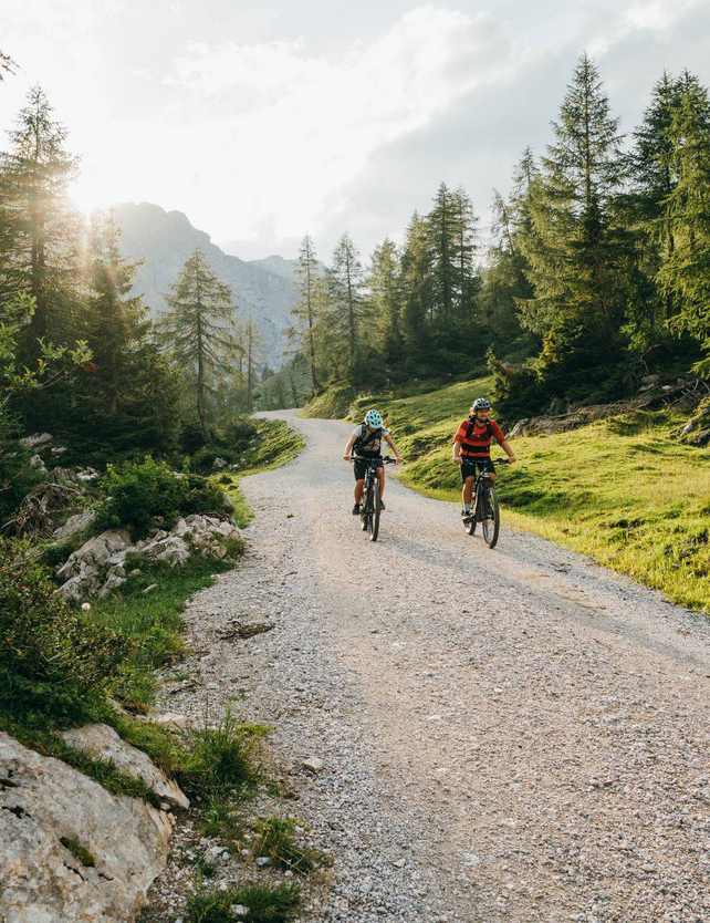 Bike rental