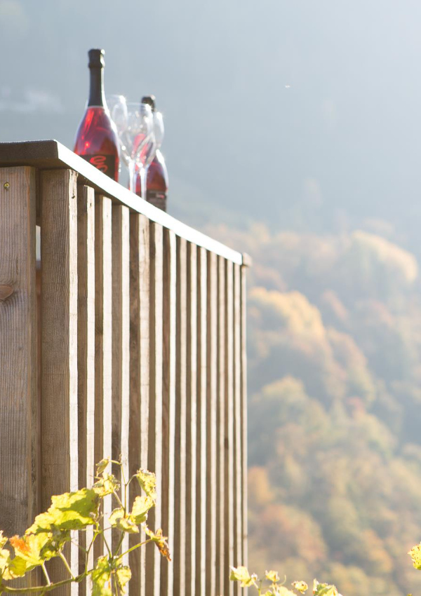 Pure organic wine enjoyment - a look behind the scenes at Zollweghof