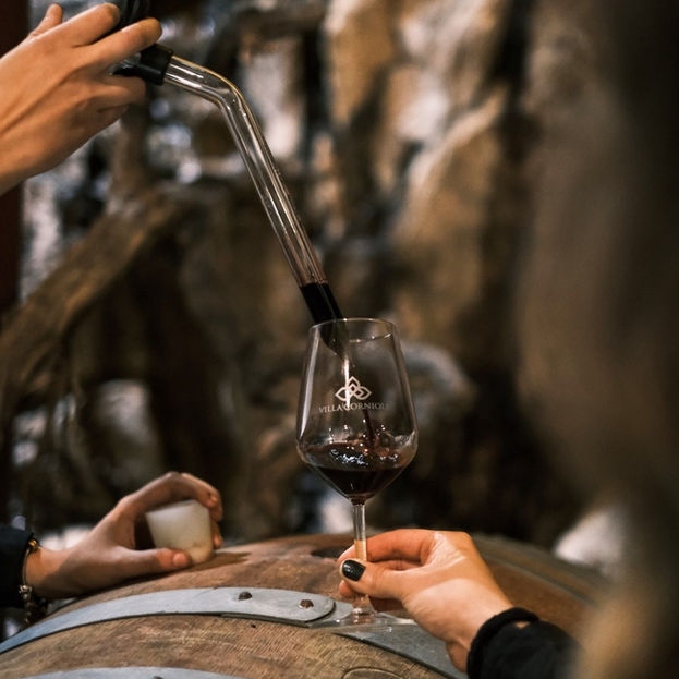 Wine Experiences at Cantina Villa Corniole