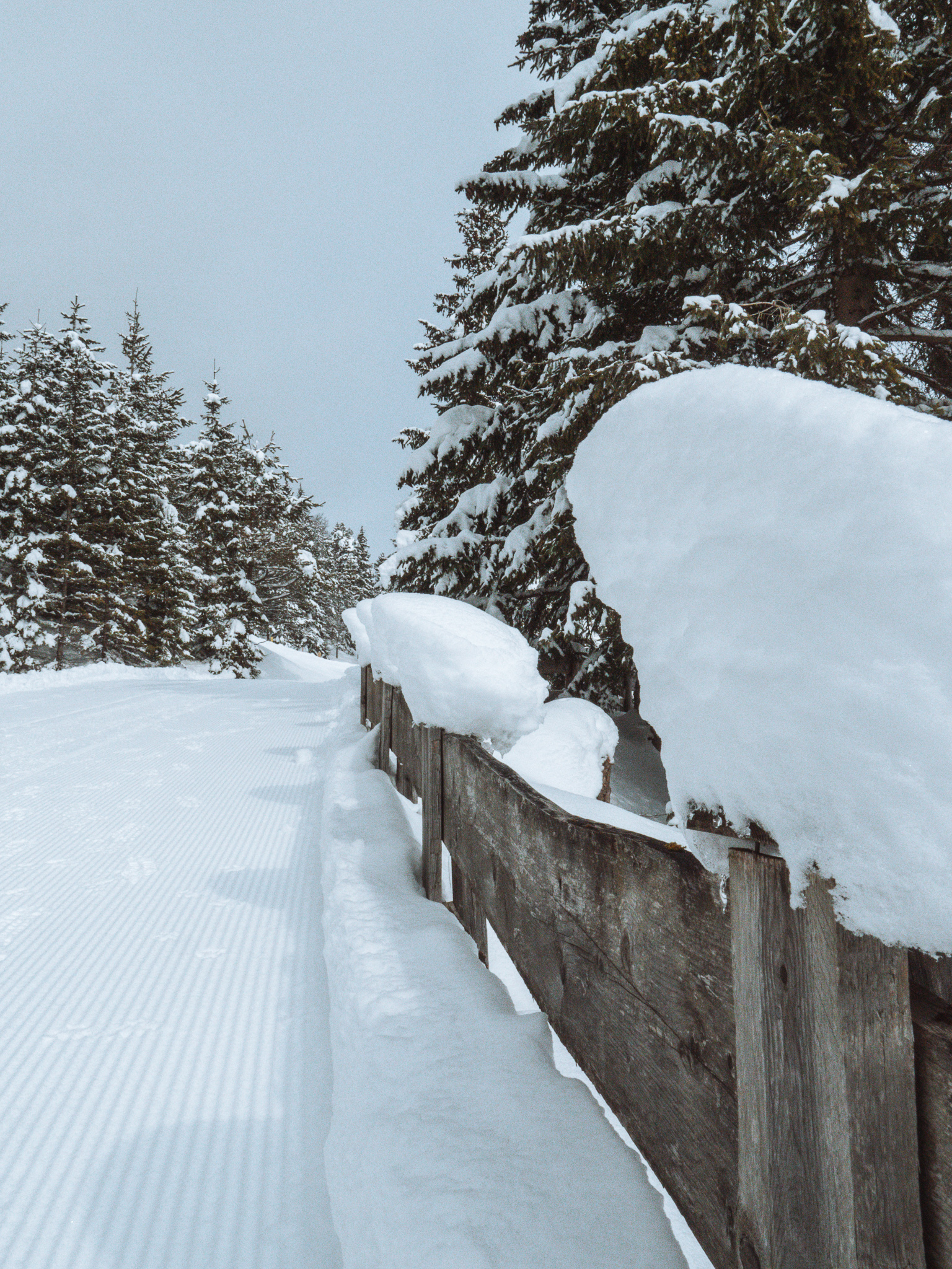 Schneeschuh Wanderung