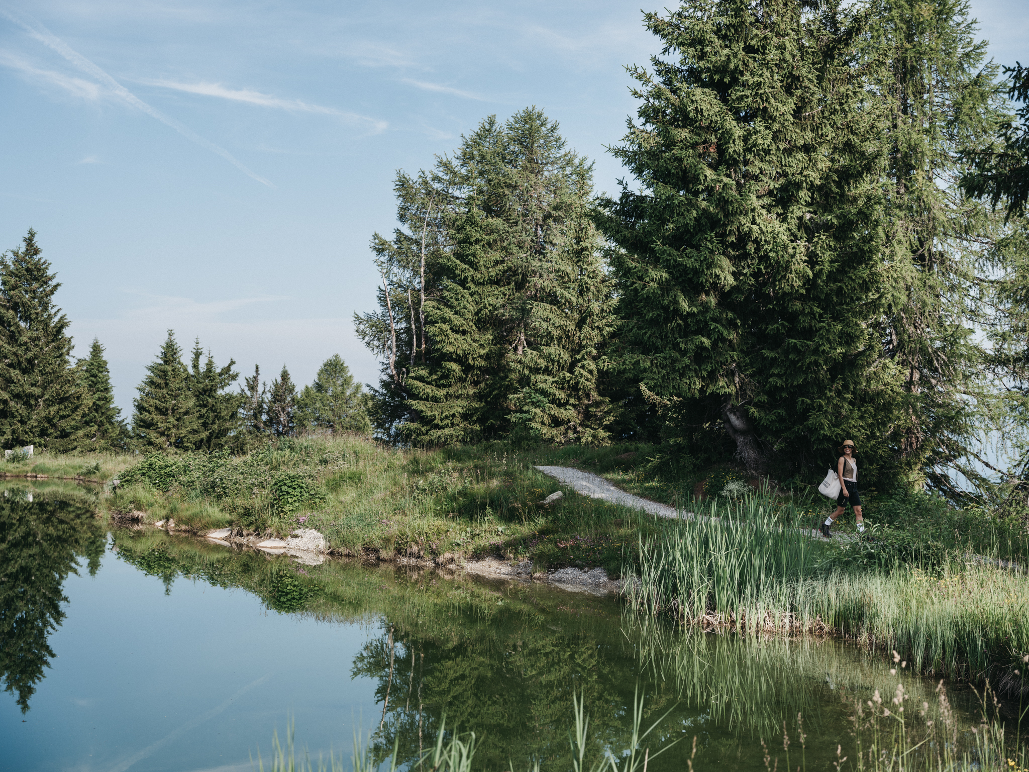 Outdoor - Waldspaziergang 