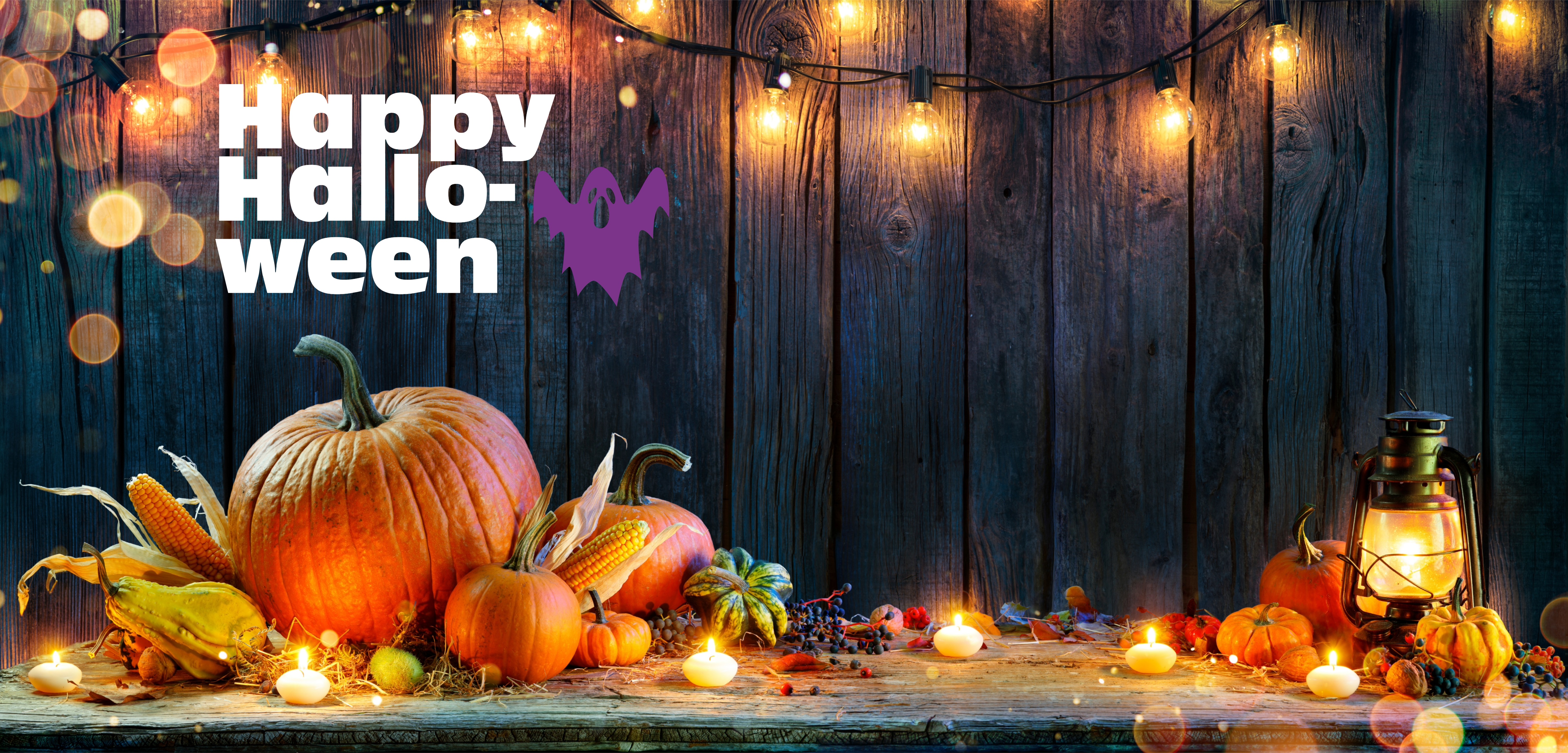 HAPPY HALLOWEEN