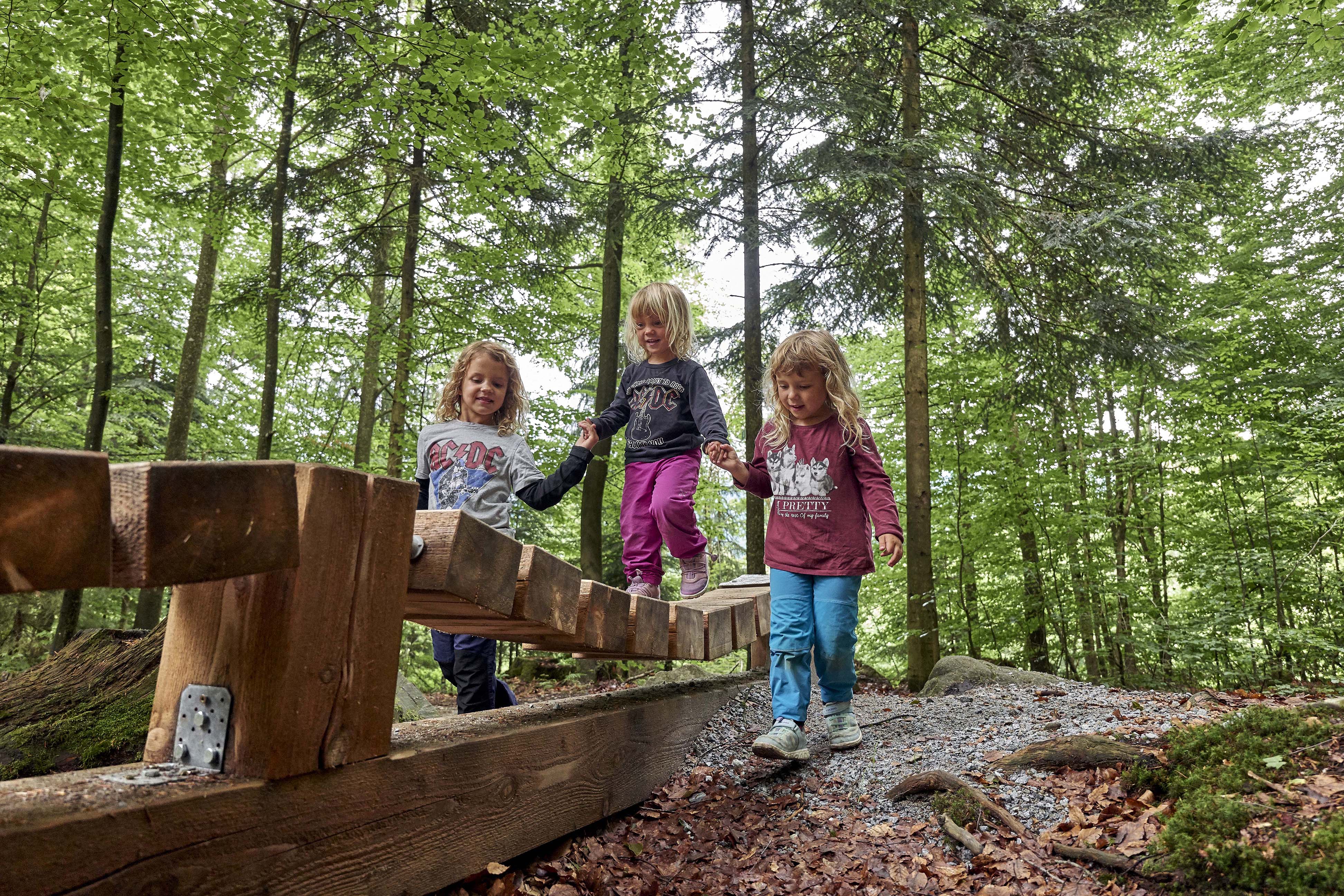 Ameisenweg - Erlebniswanderweg für die Familie
