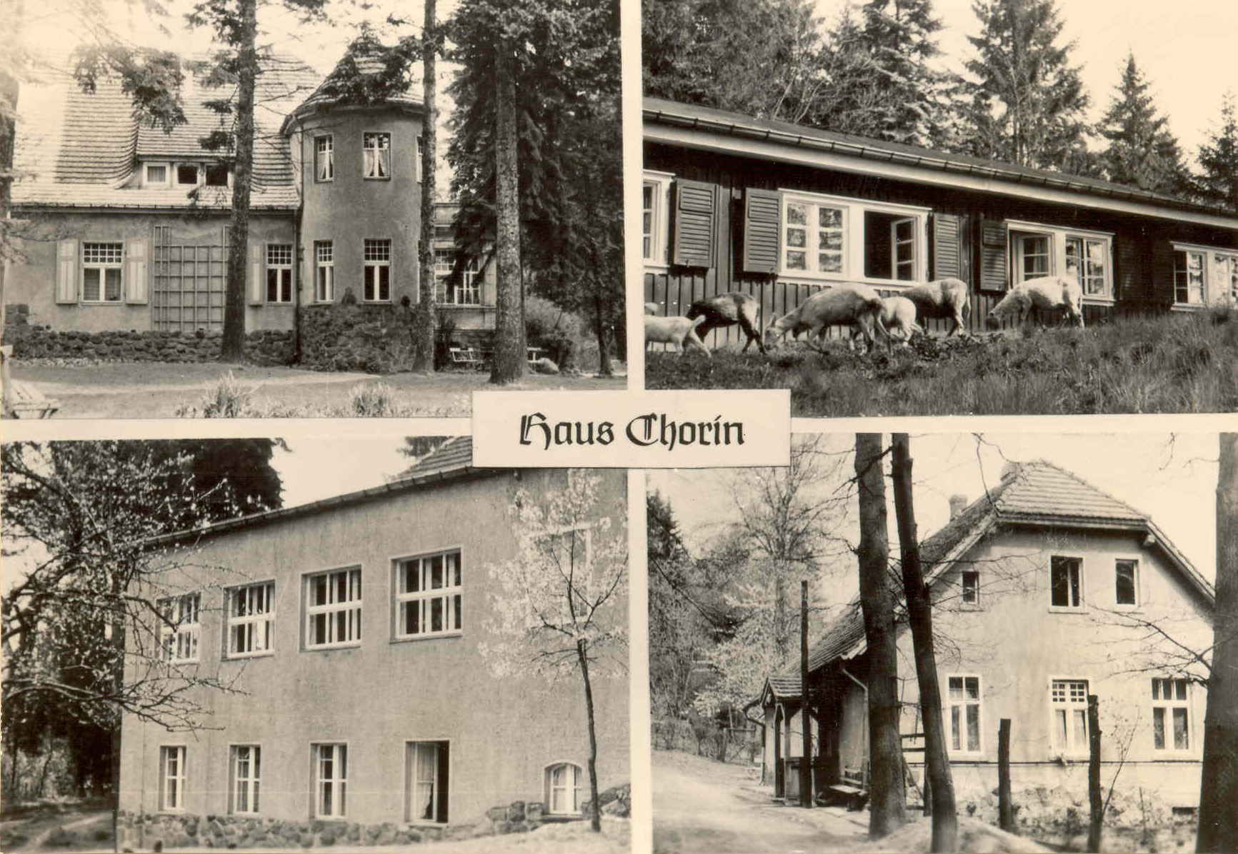 History of Hotel Haus Chorin