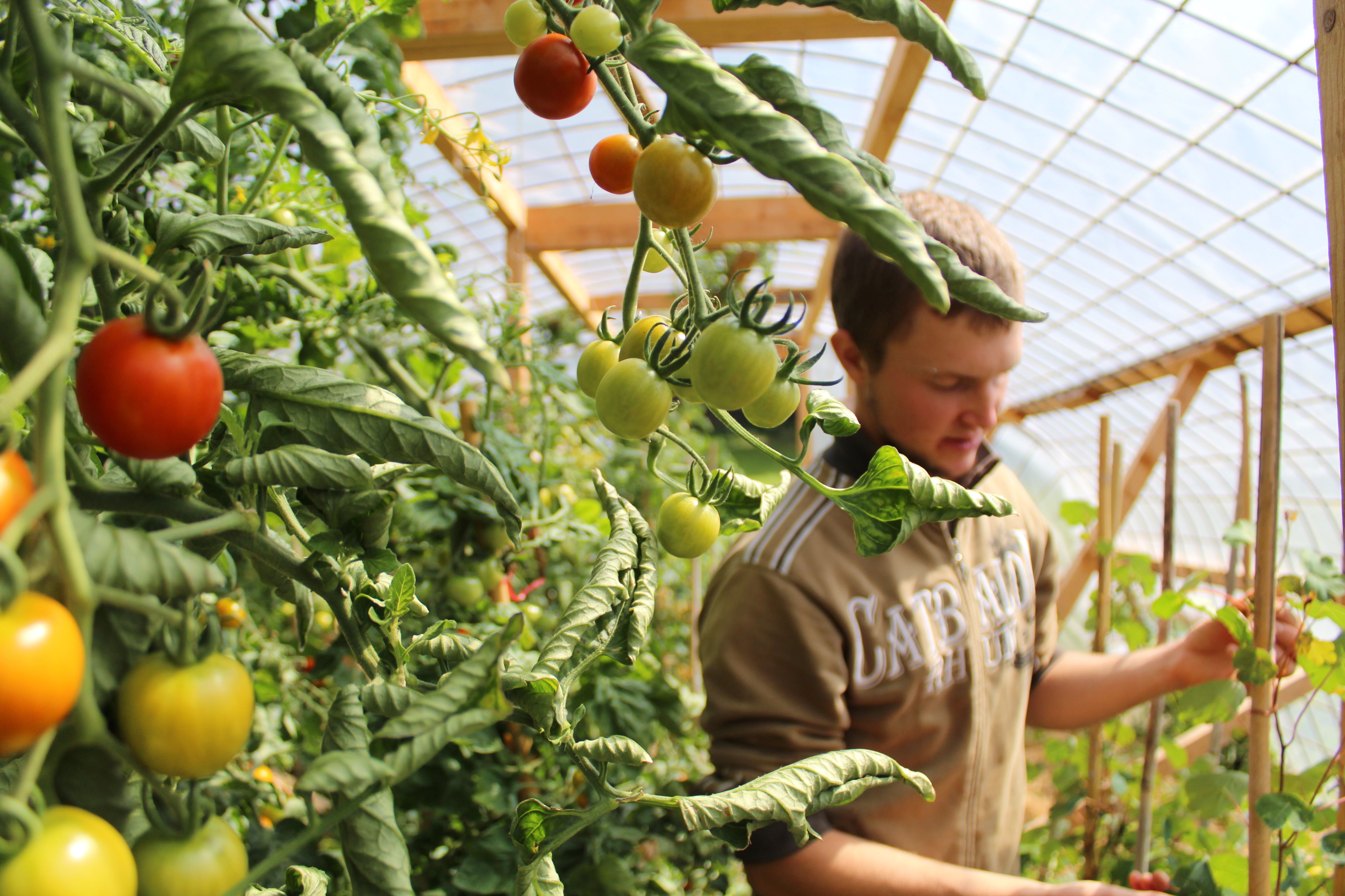 Permaculture garden Eisathhof